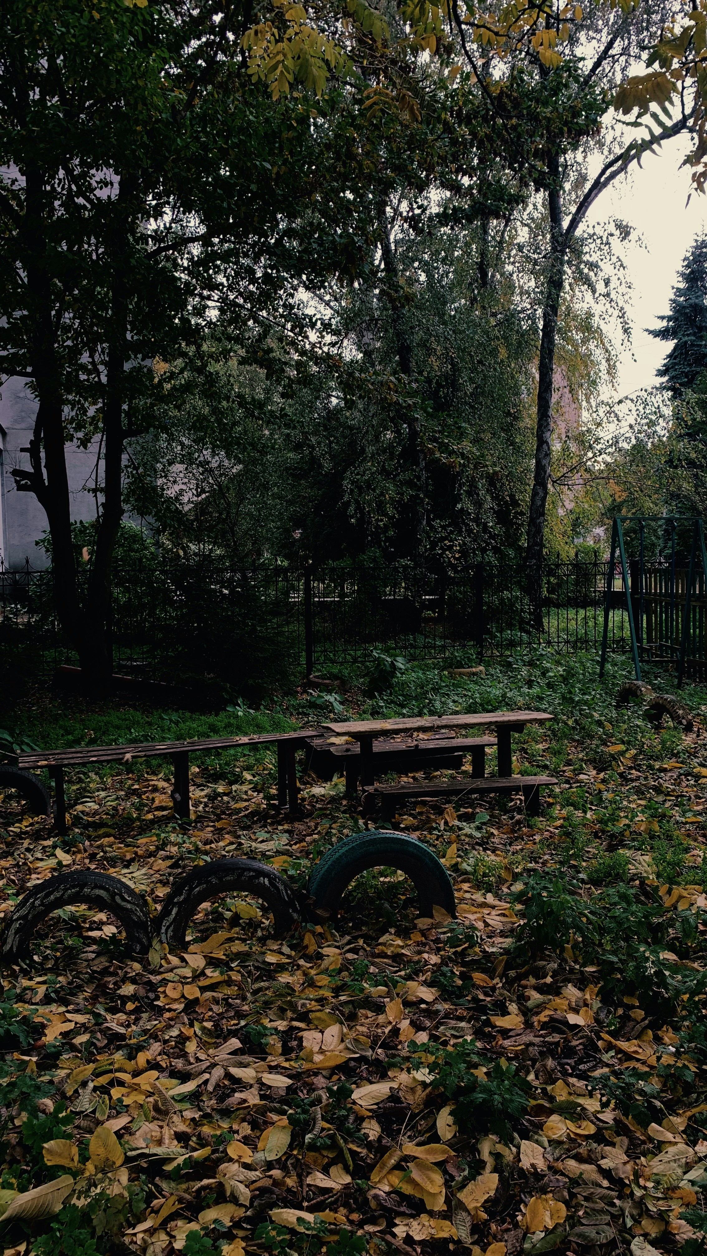 Photo by vladisvlavd