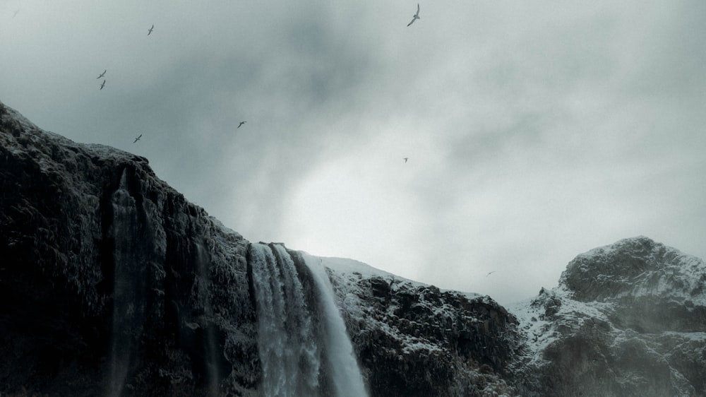 a group of birds flying over a waterfall