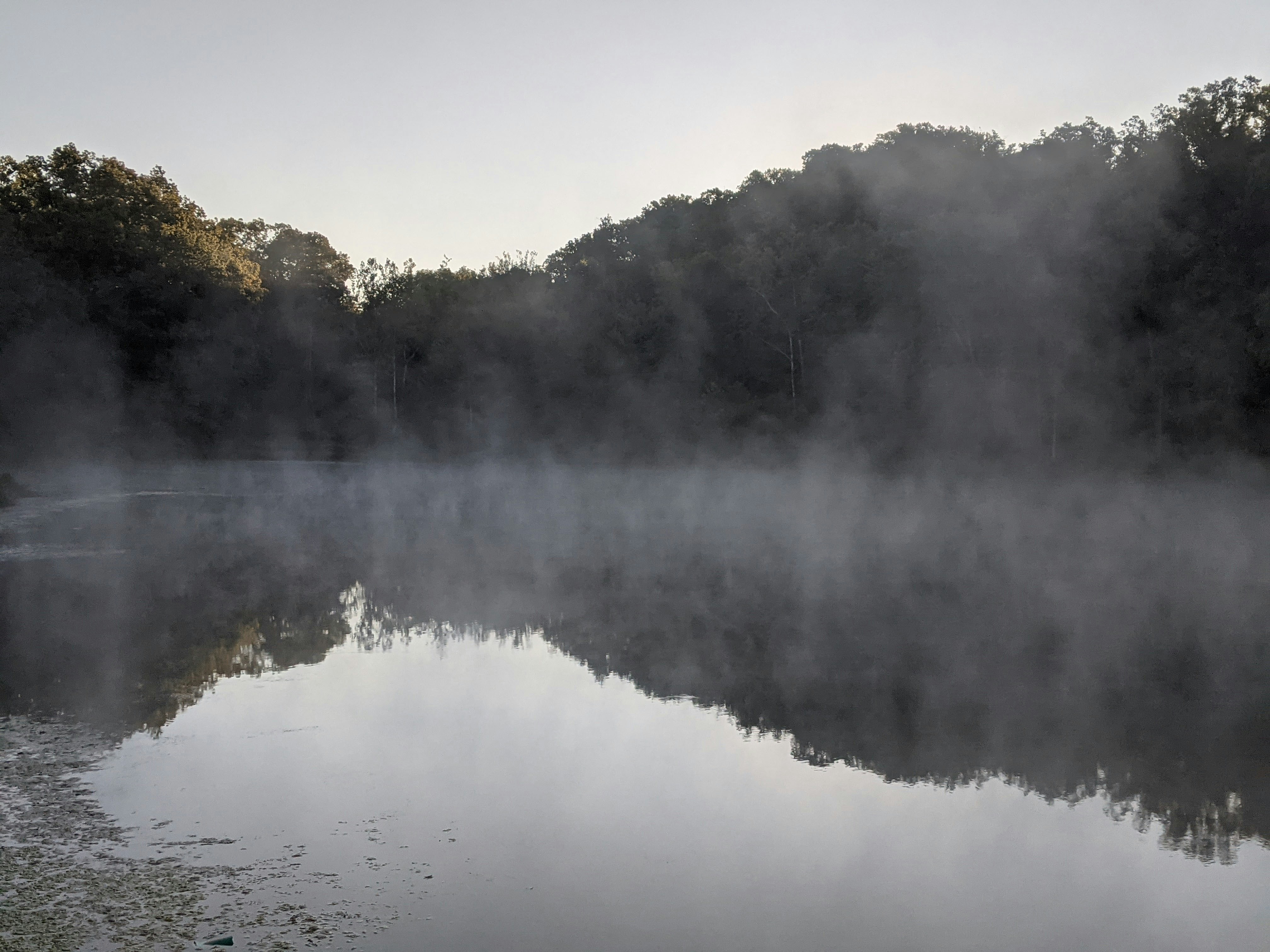 Soft morning mist over a quiet lake with gentle reflections.