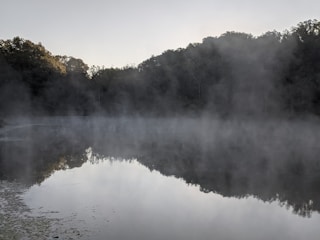 A quiet early morning shot of a misty forest in the Lake District from above.