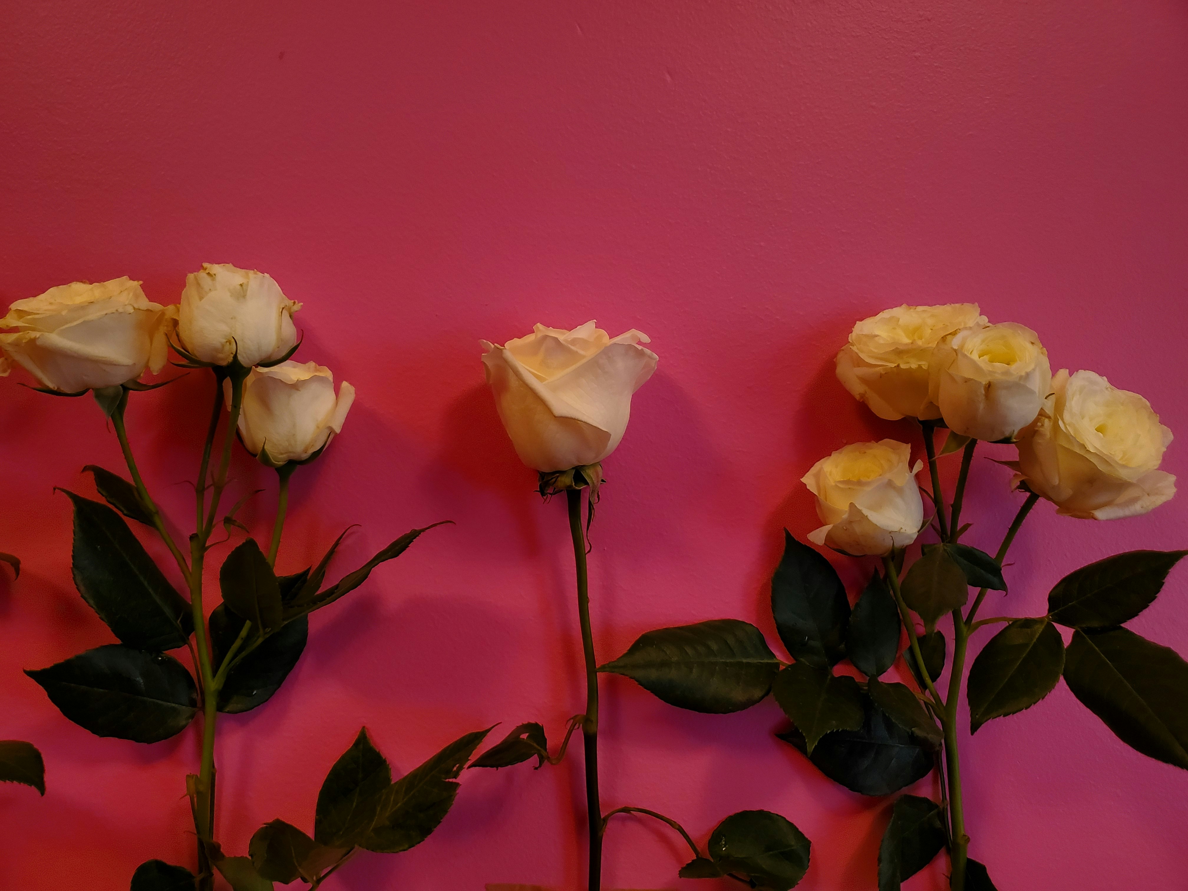 Photo by karolinabobek