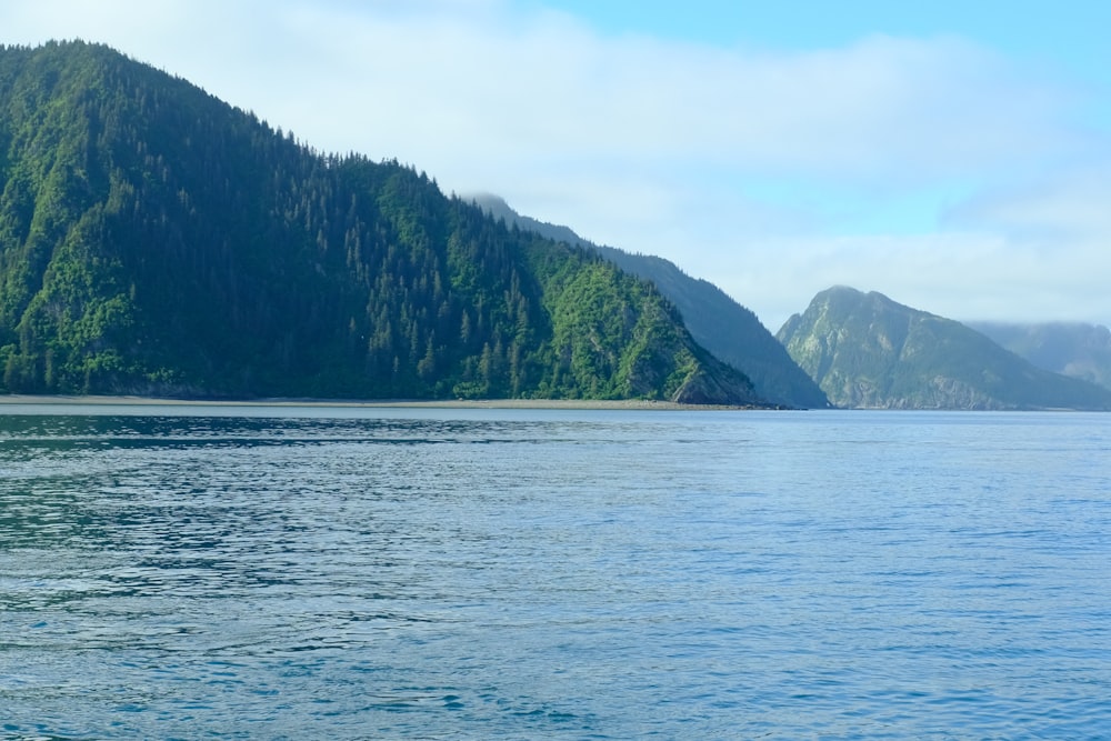 a body of water with trees and mountains in the background