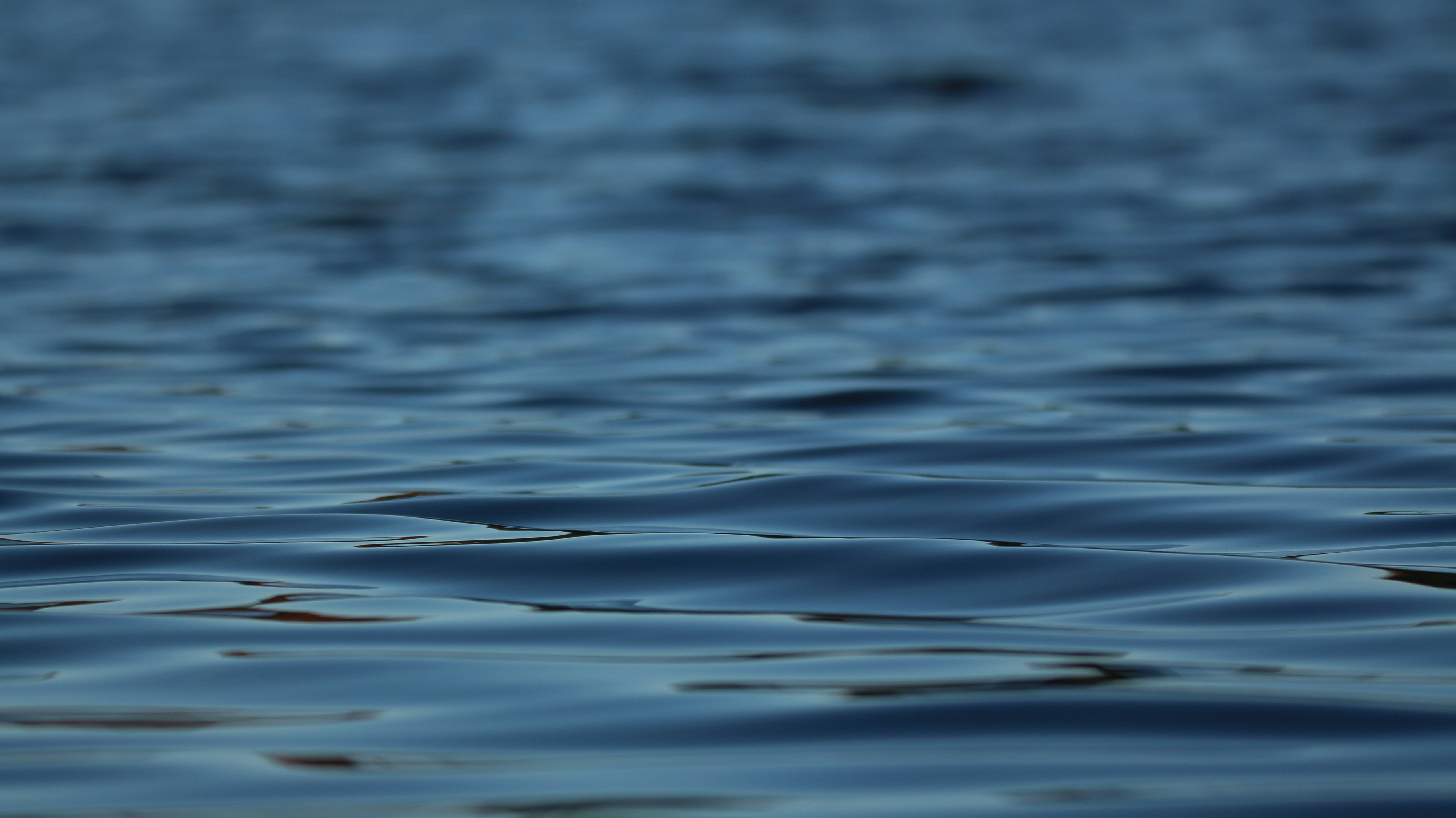 Photo by dcanadianphotographer