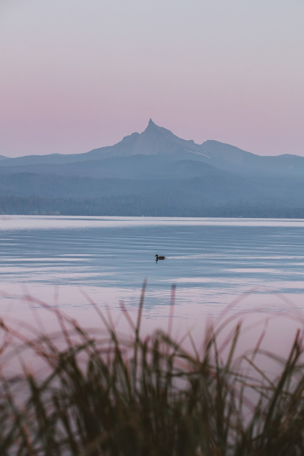 a person in the water