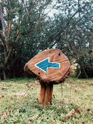 A close-up of a weathered wooden signpost pointing toward a Yowie sighting spot surrounded by dry grass.