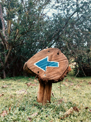 An old wooden signpost marking the boundary of the initiative area near Avon View Cemetery.