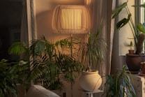 A cozy interior setting featuring a variety of lush green plants surrounding a stylish lamp with a wooden slatted shade that casts a warm glow. The plants range from broad-leaved to slender-leaved varieties, arranged around a pale ceramic pot. A window in the background allows soft natural light to blend with the lamp's illumination.