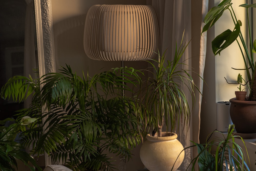 a lamp next to a plant