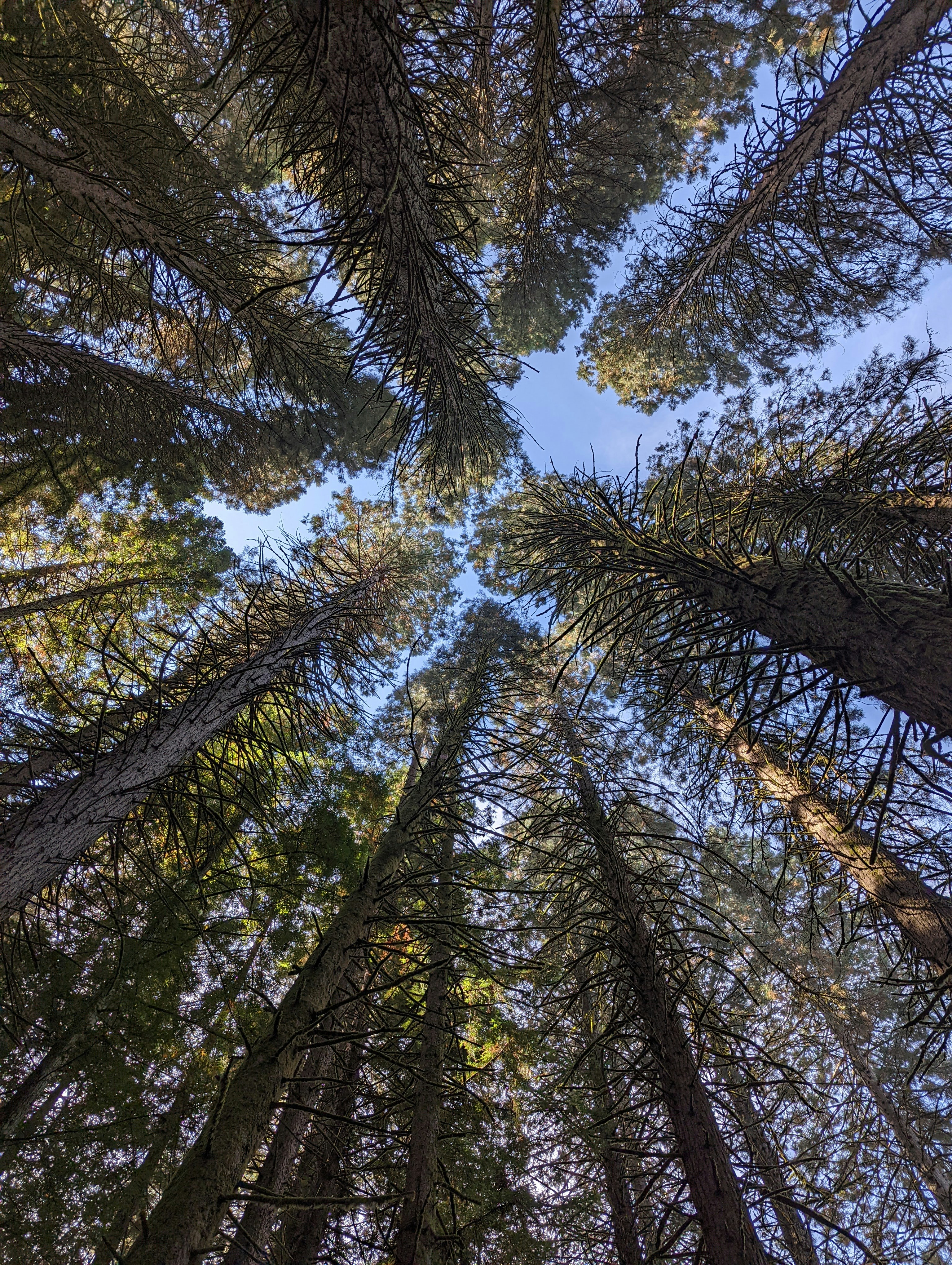 Photo by schoolassemblies