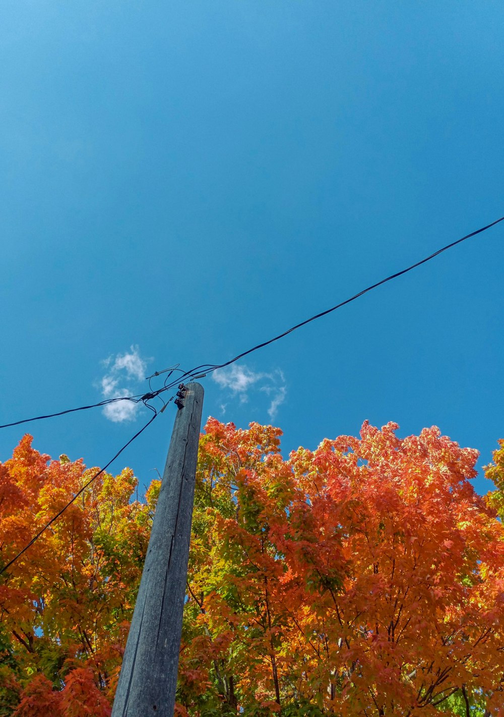 a power line pole with trees around it