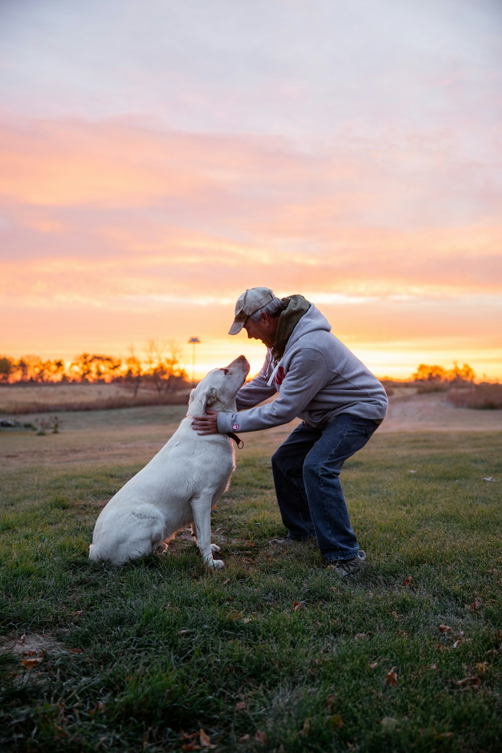 Eine Person und ein Hund spielen auf einem Feld