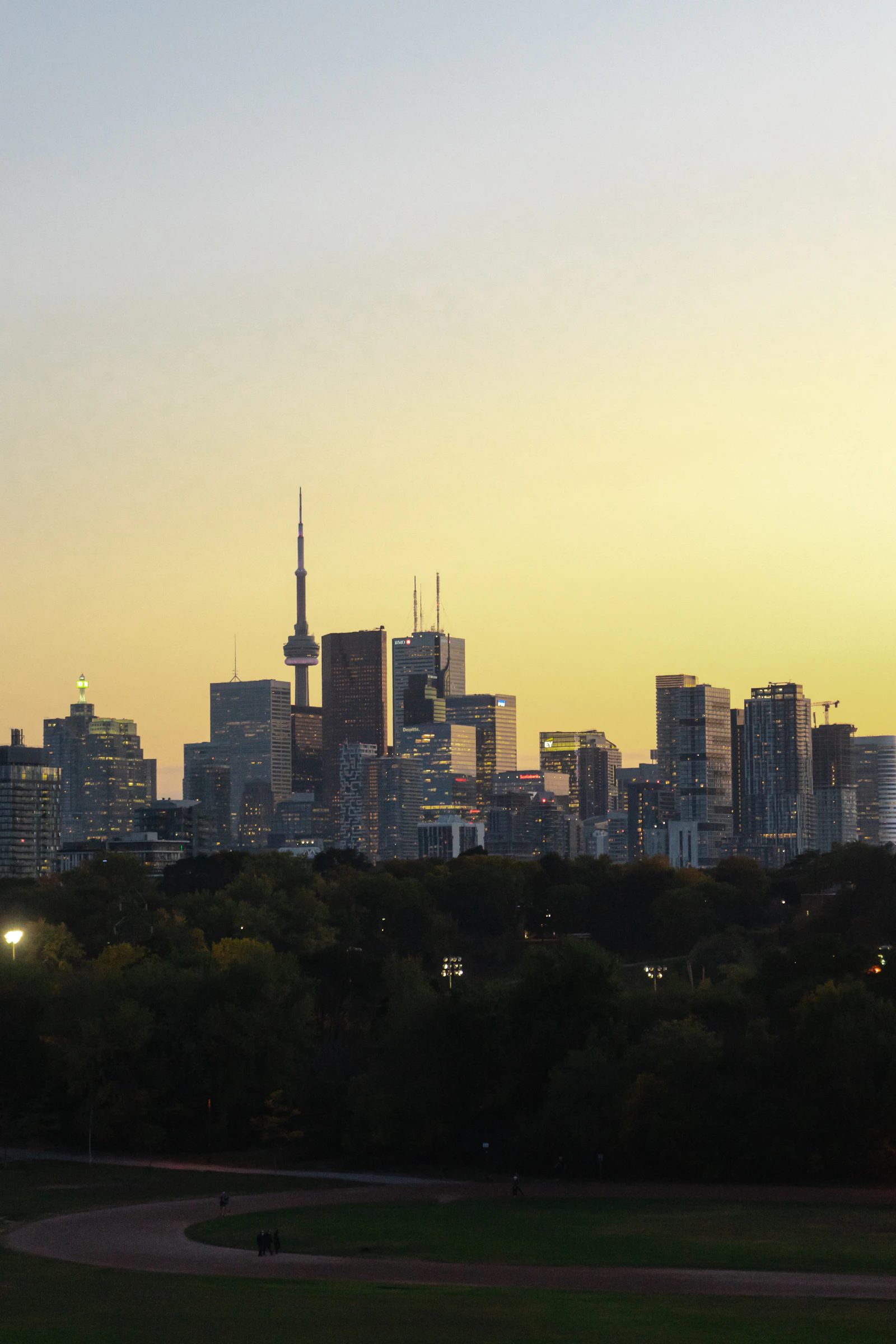 Toronto skyline viewed from Riverdale Park with trees and homes in the foreground