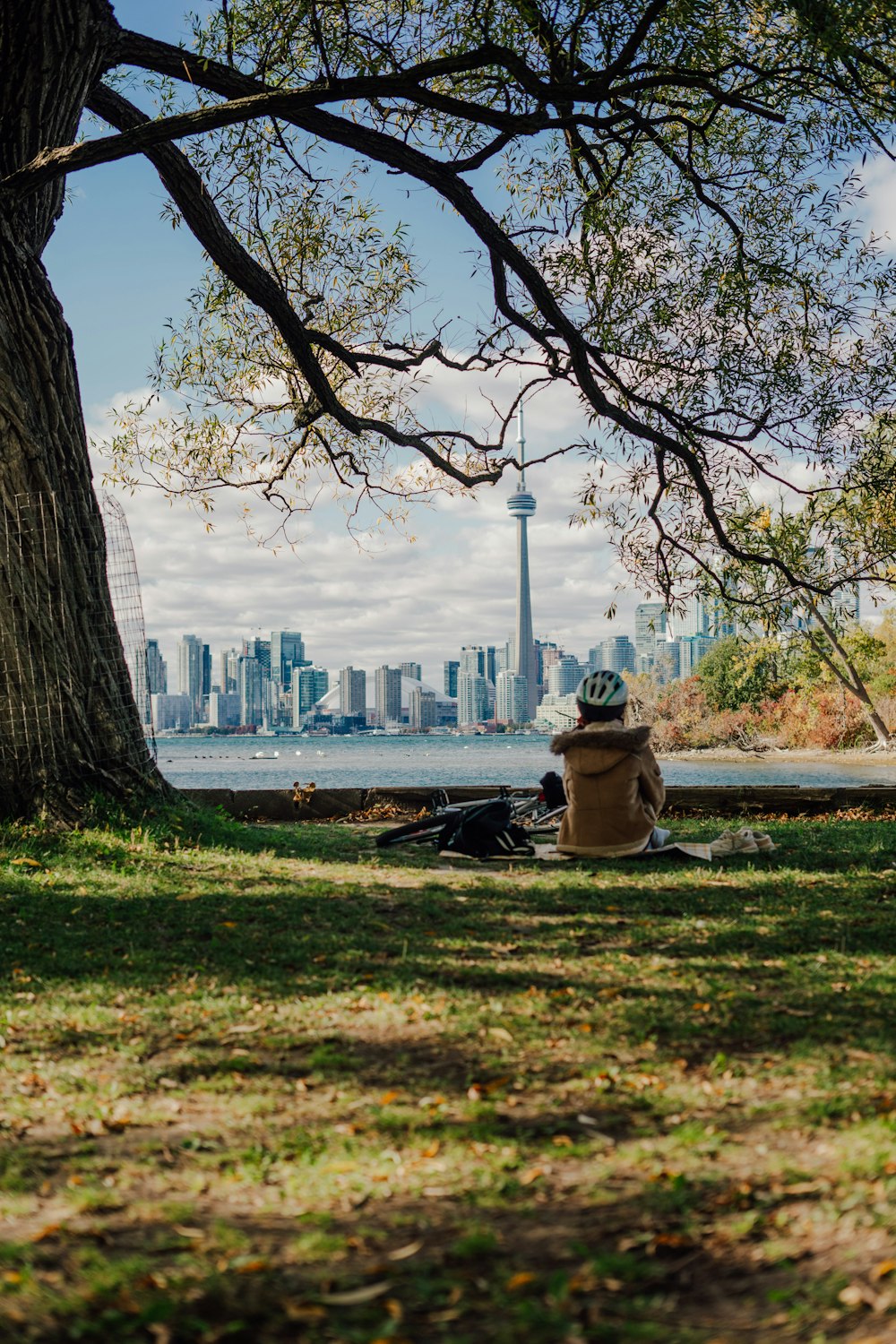 a person sitting under a tree