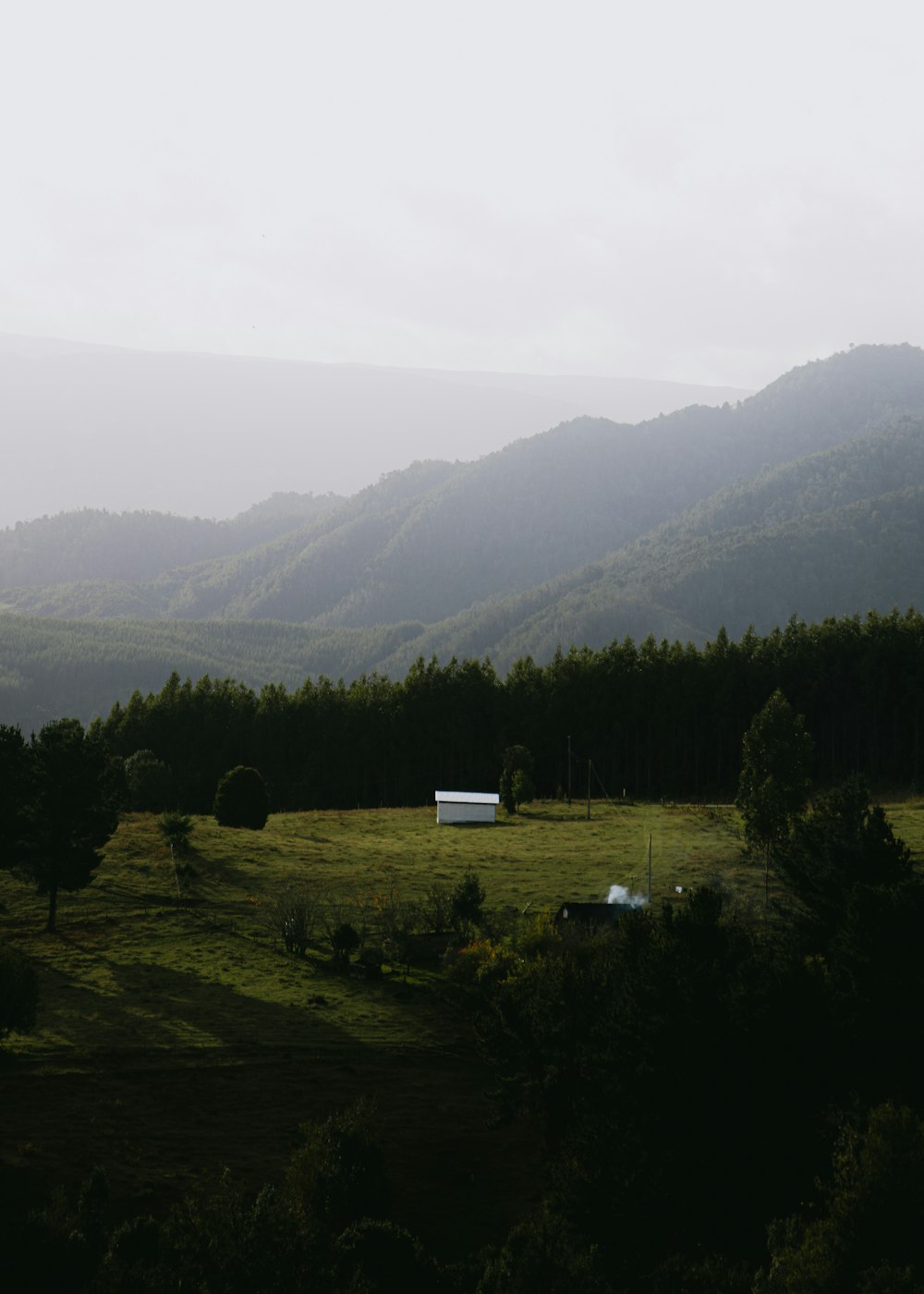 a grassy field with trees and mountains in the background