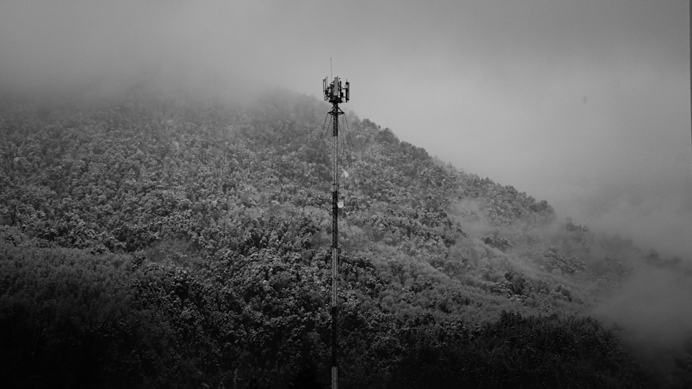 a power line tower in the middle of a forest