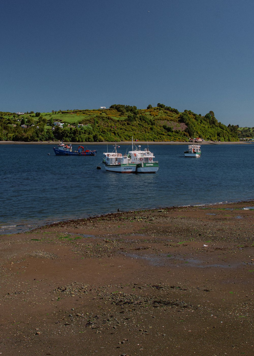 boats on the water