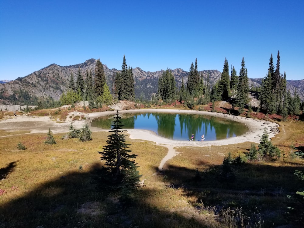 a lake surrounded by trees and mountains