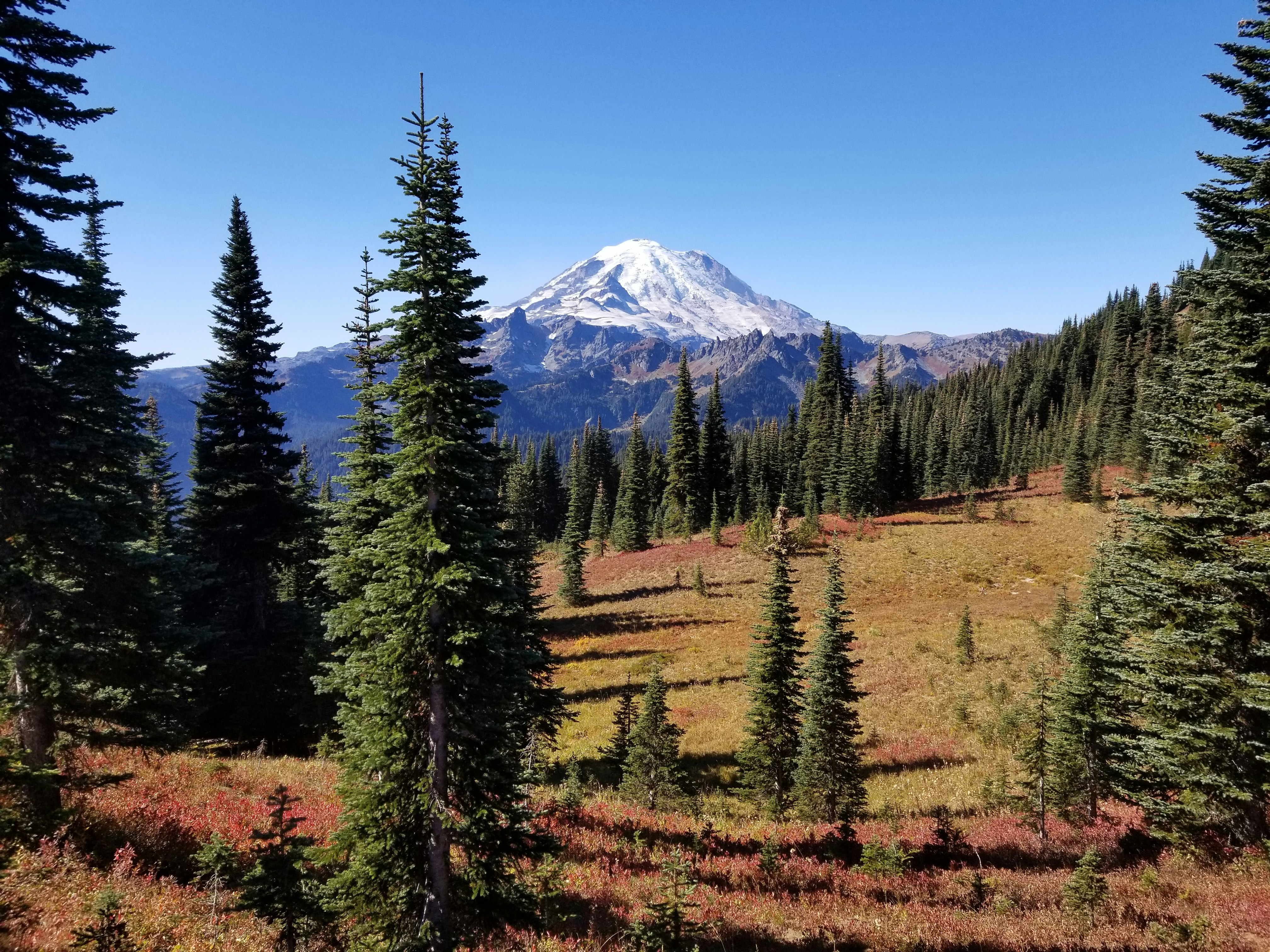 Photo by prphotography262