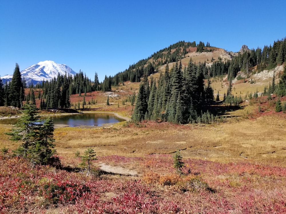 un lac entouré d’arbres et de montagnes