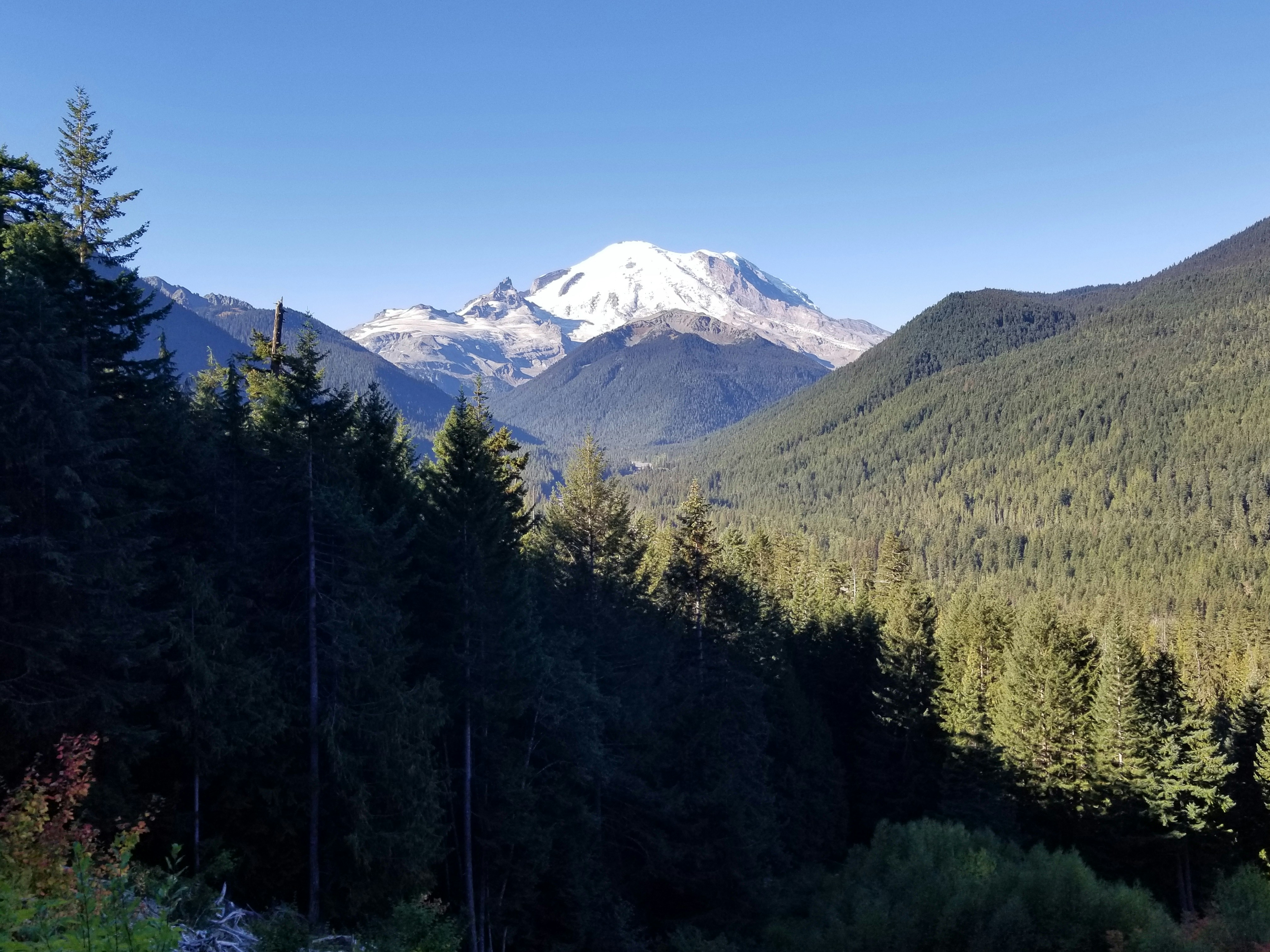 a mountain range with trees