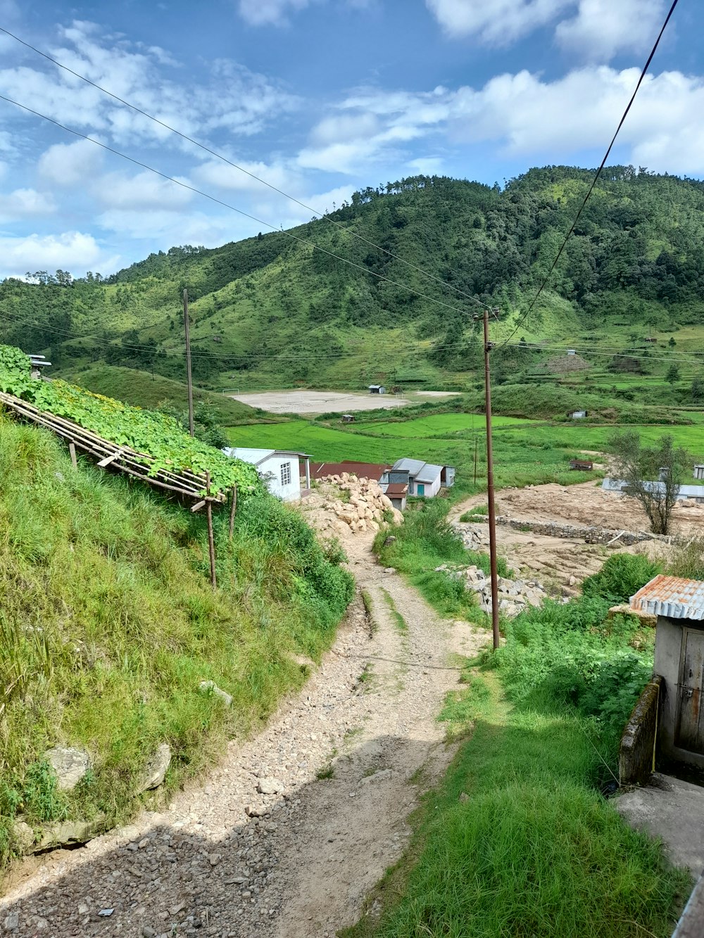 a dirt road with houses on the side and trees on the side