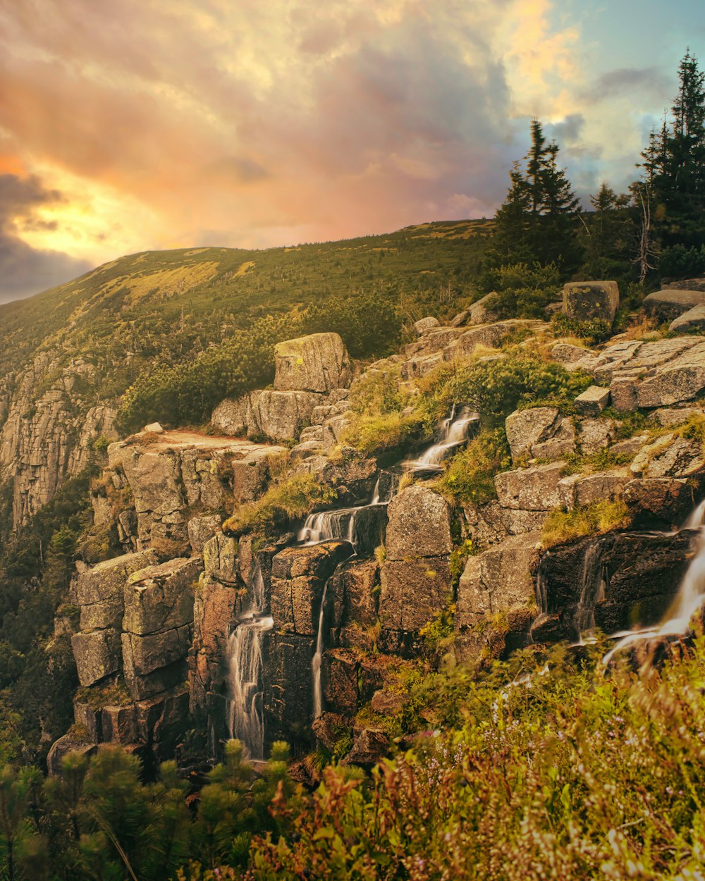 a rocky cliff with trees and grass