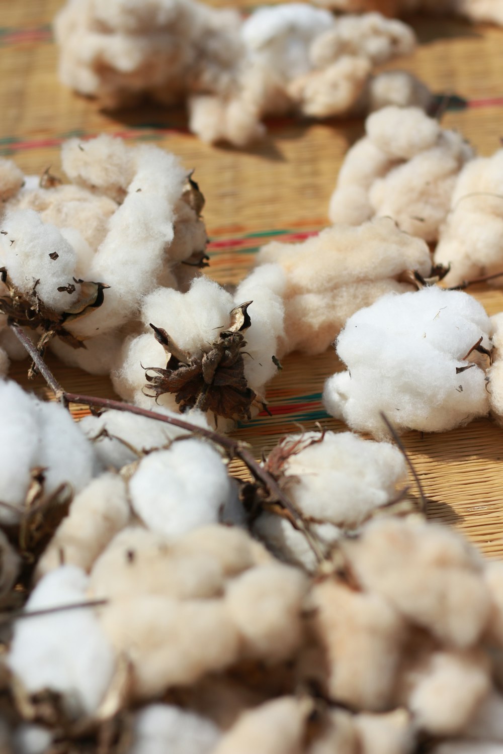 a close up of some cotton