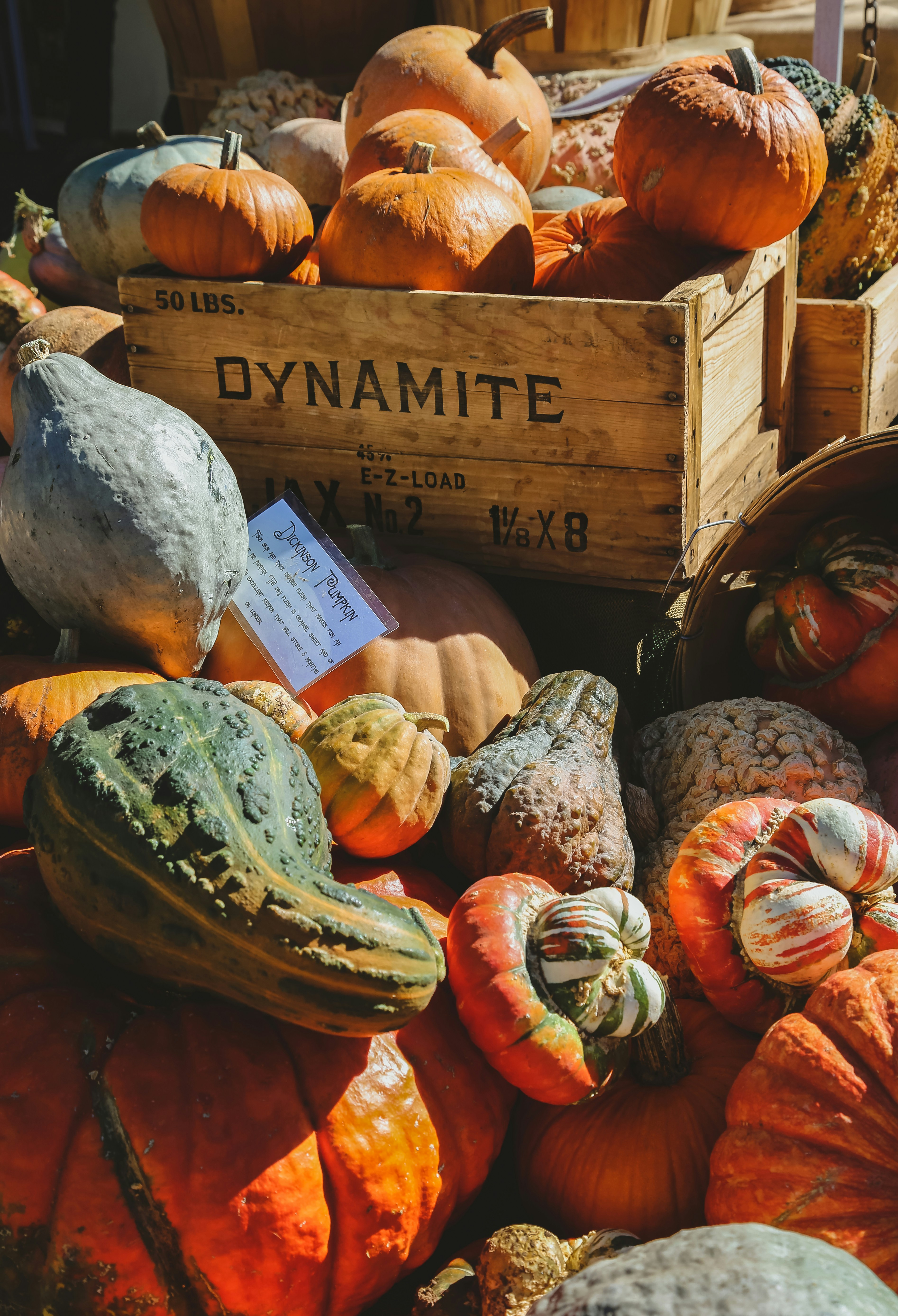 fresh vegetables wallpaper, wallpaper, Vegetarian: Jenis, Manfaat, dan Tips Memulainya 2