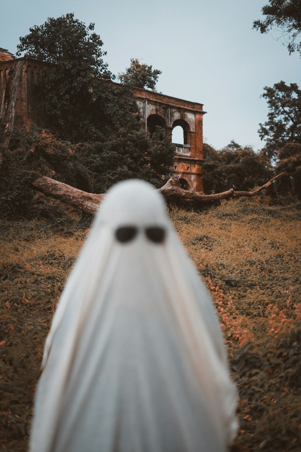 a white owl in front of a building