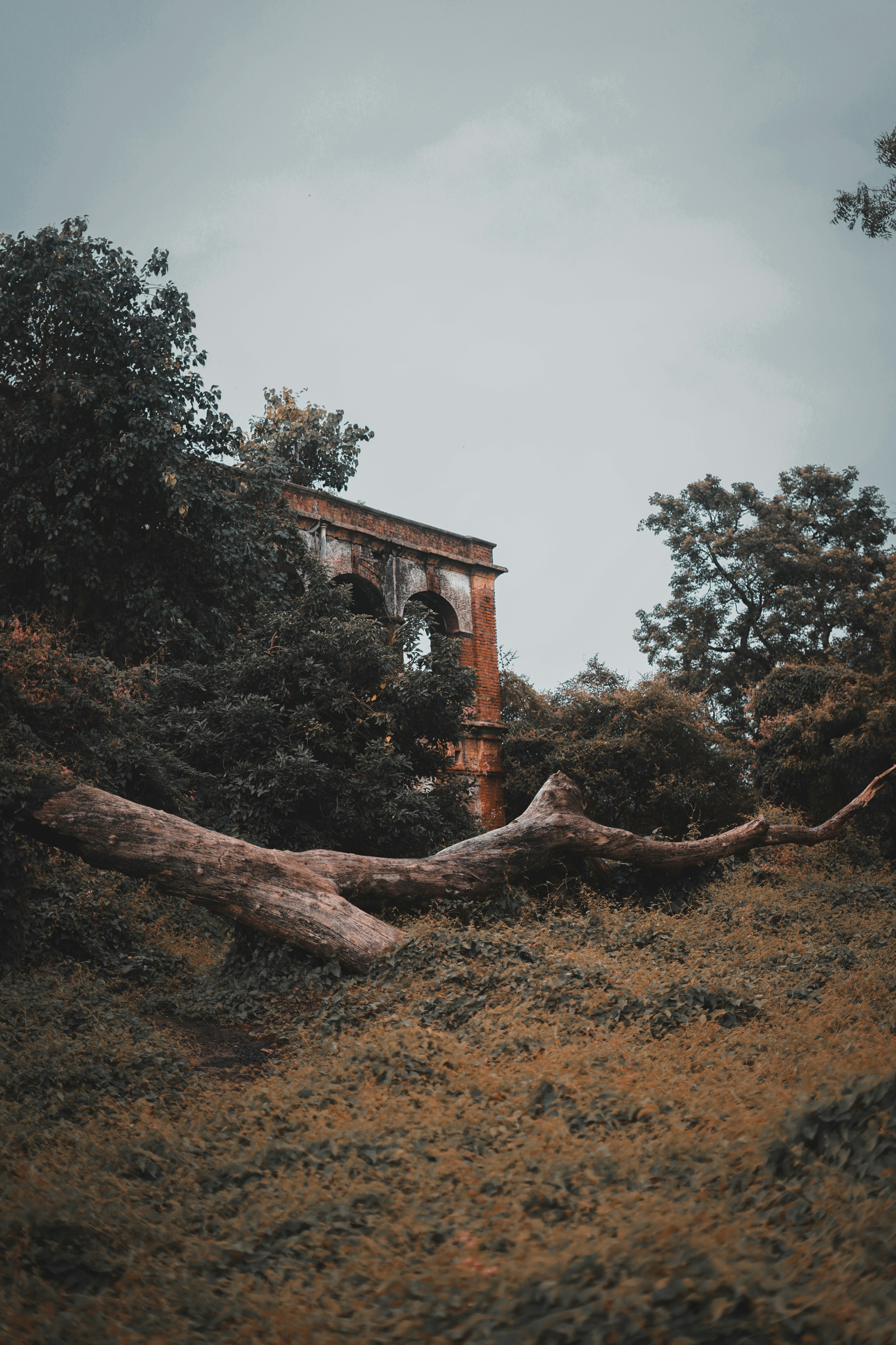 a stone structure with a door in the middle of a field