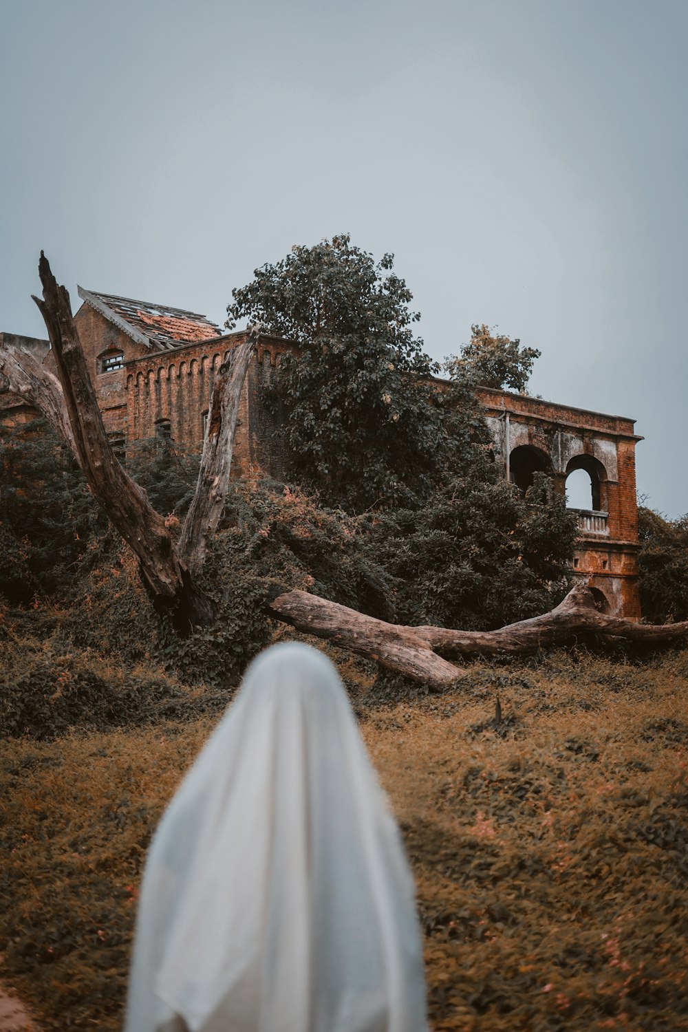 a person walking towards a building