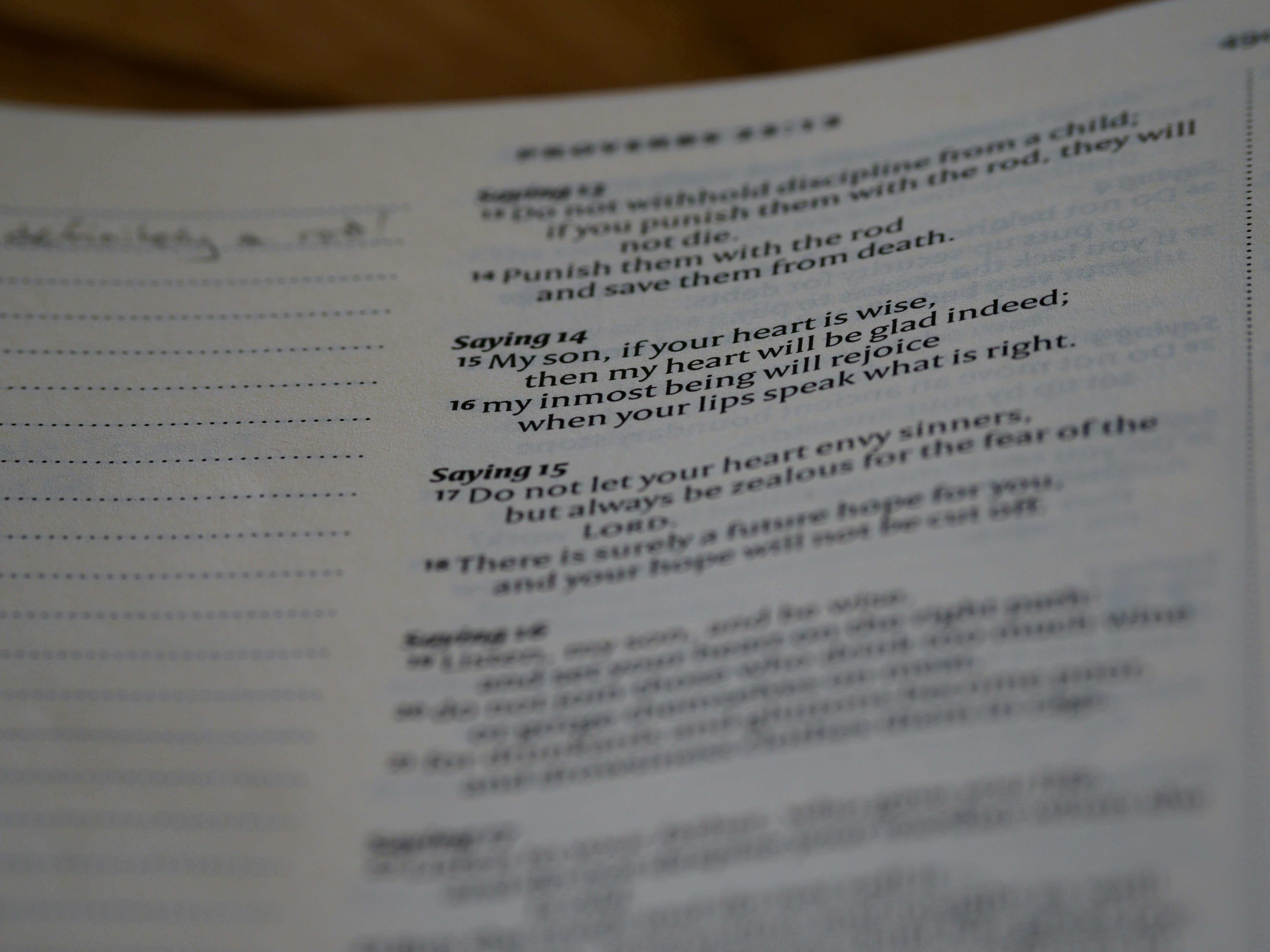 Photo by brett_jordan