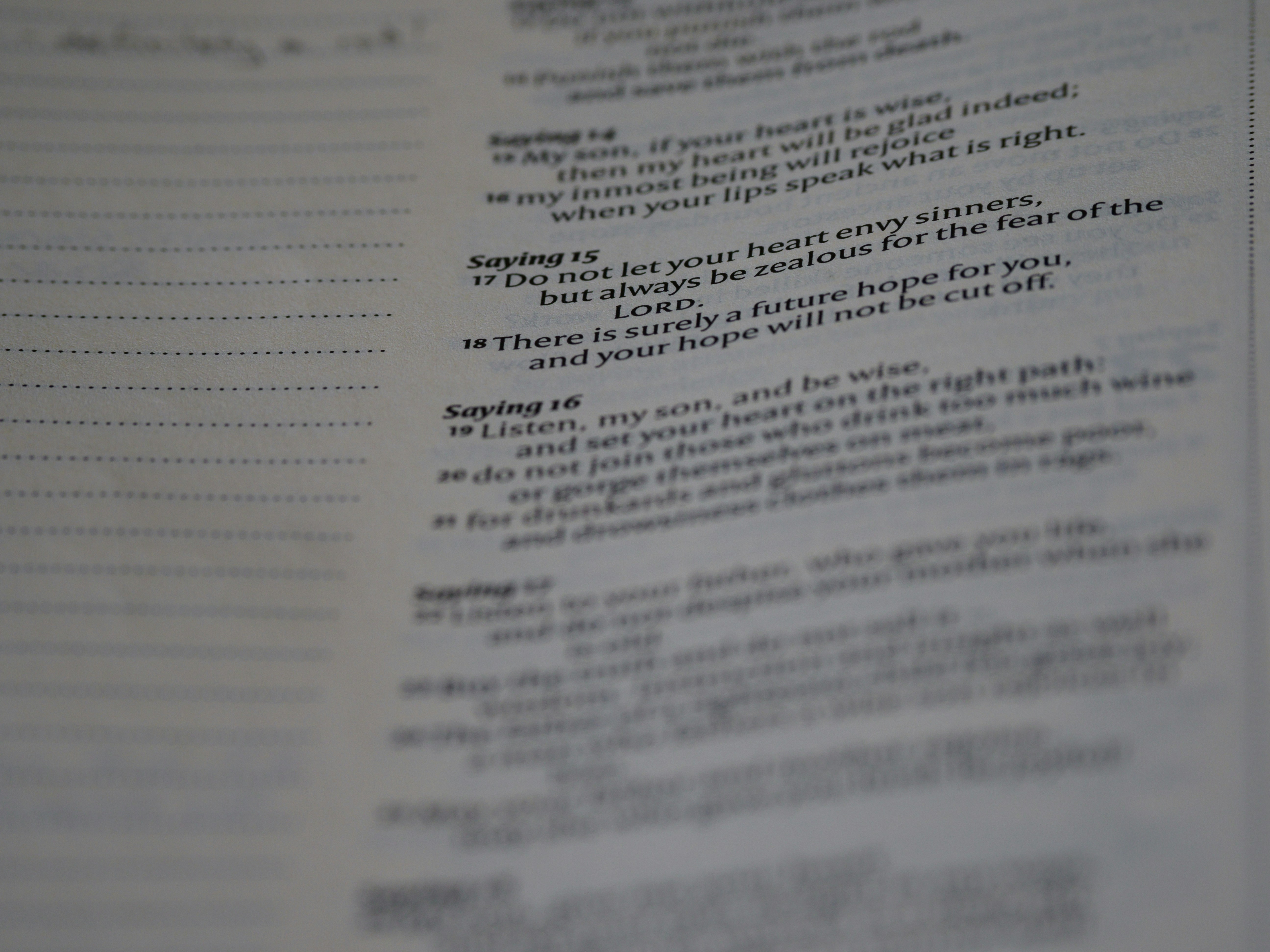 Photo by brett_jordan