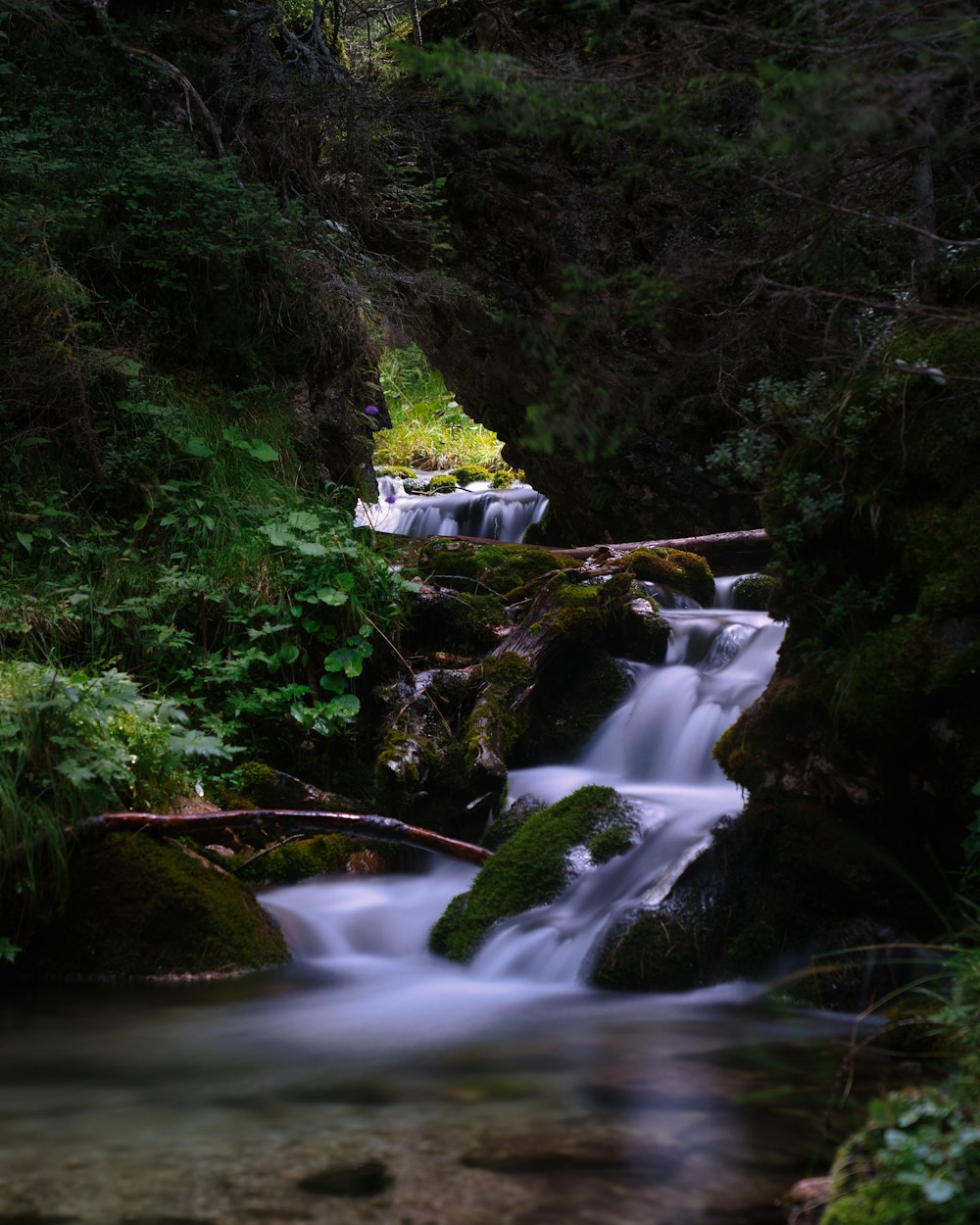 a waterfall in a forest