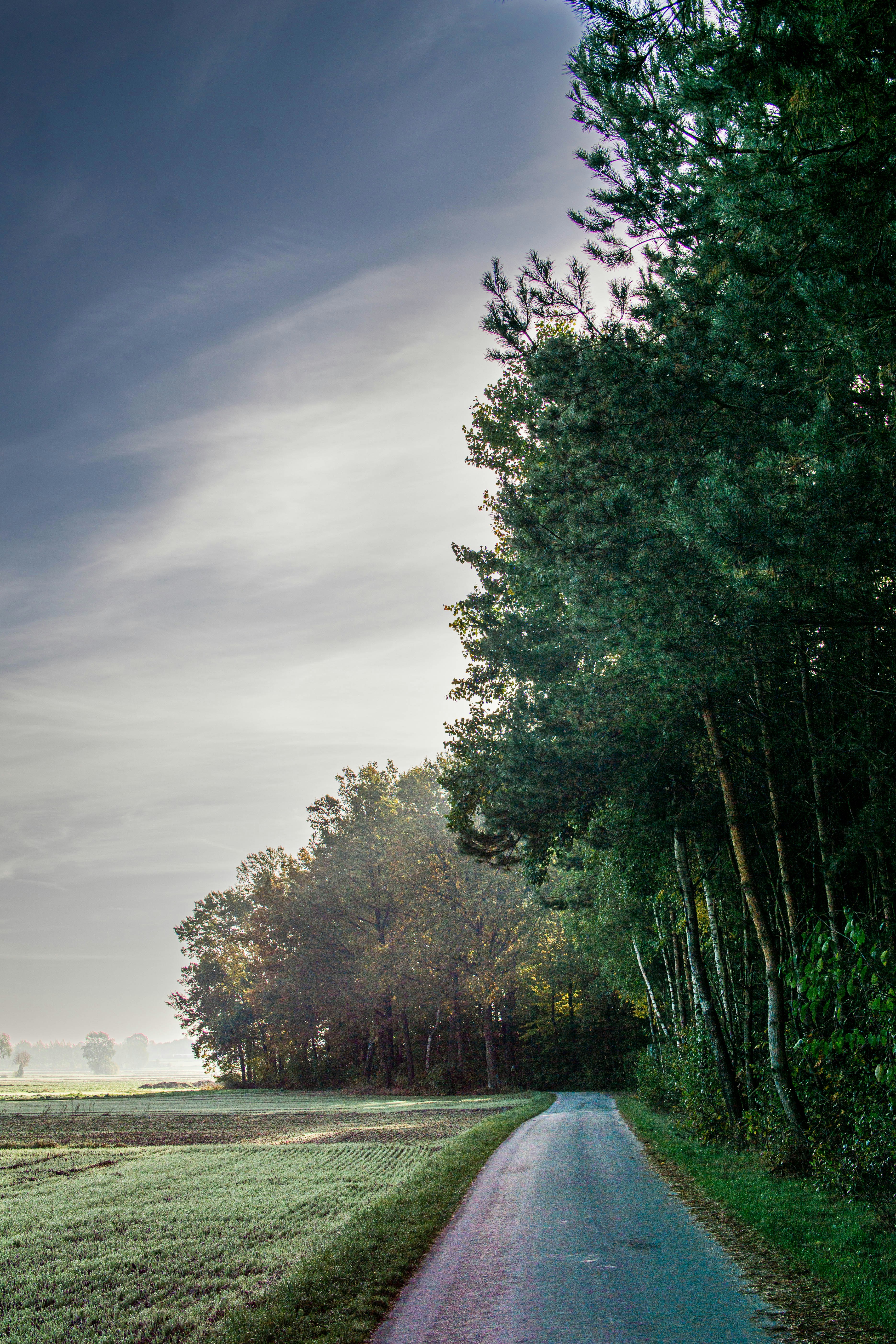 Photo by kamilpphotos