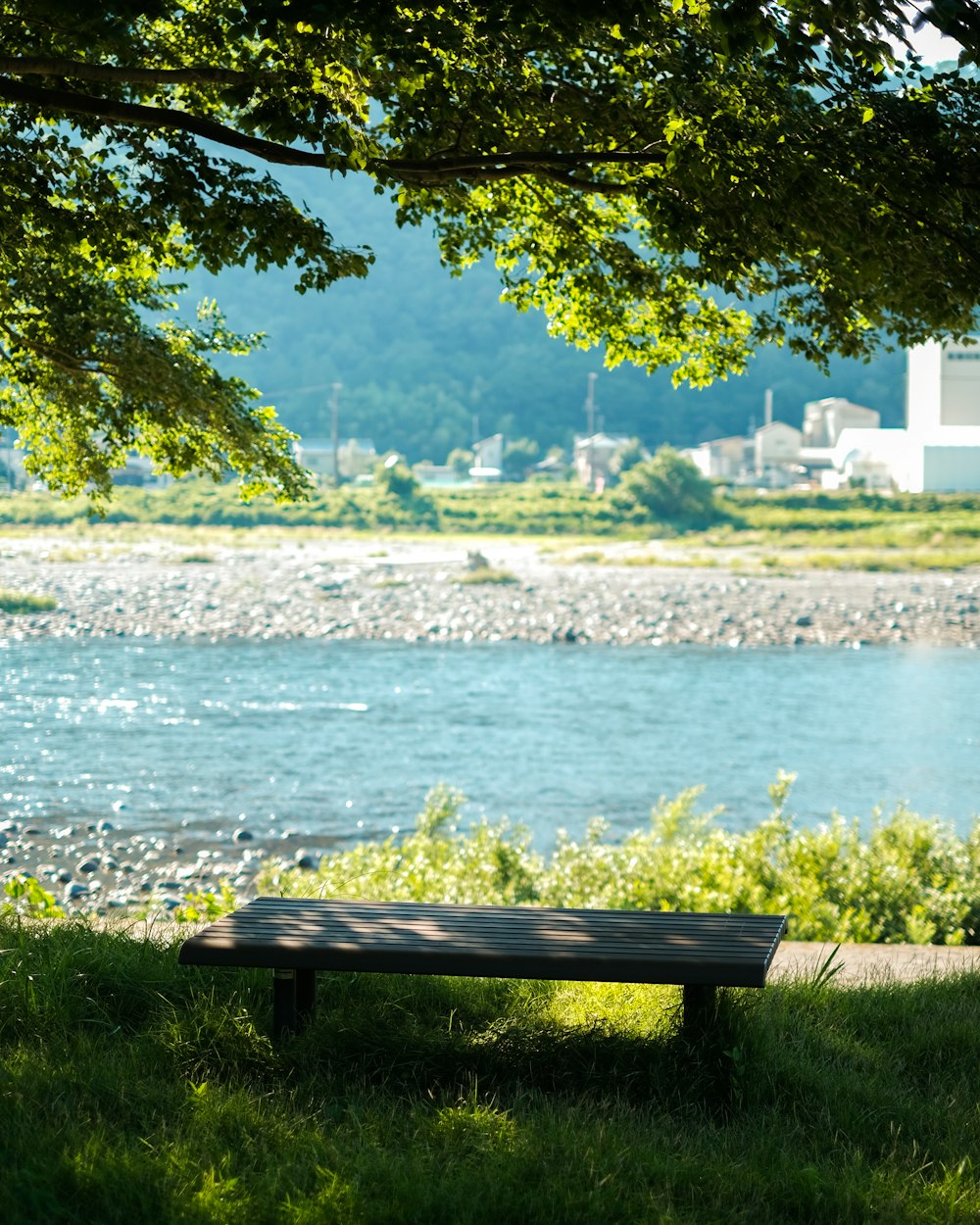 un banc surplombant un plan d’eau