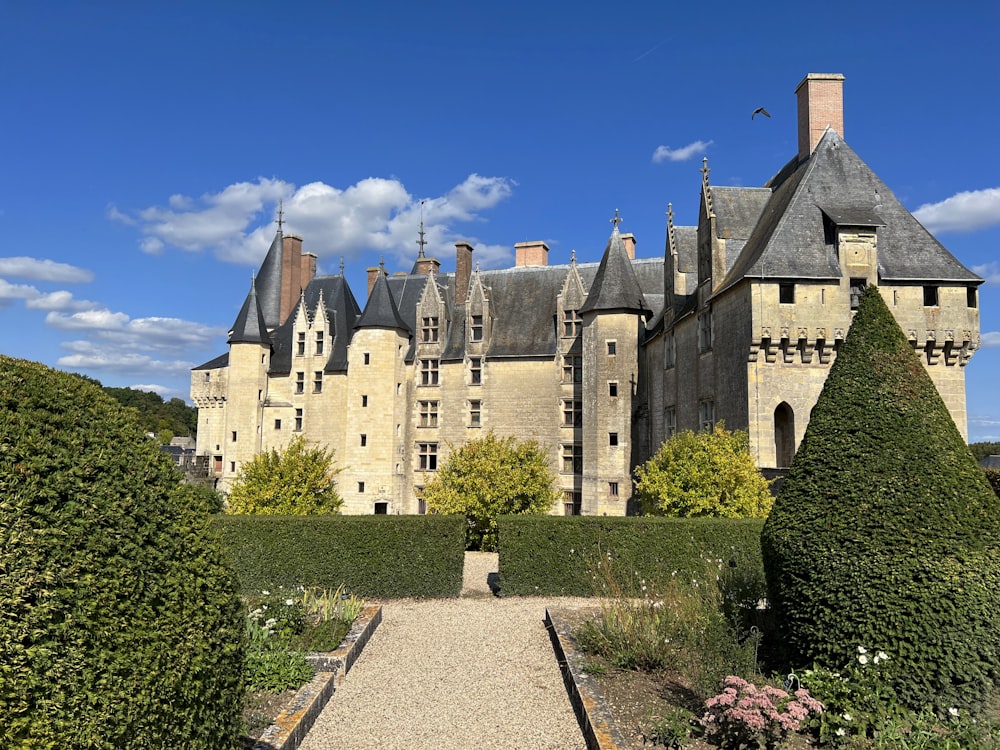 un gran castillo con un jardín frente a él con Château de Langeais al fondo