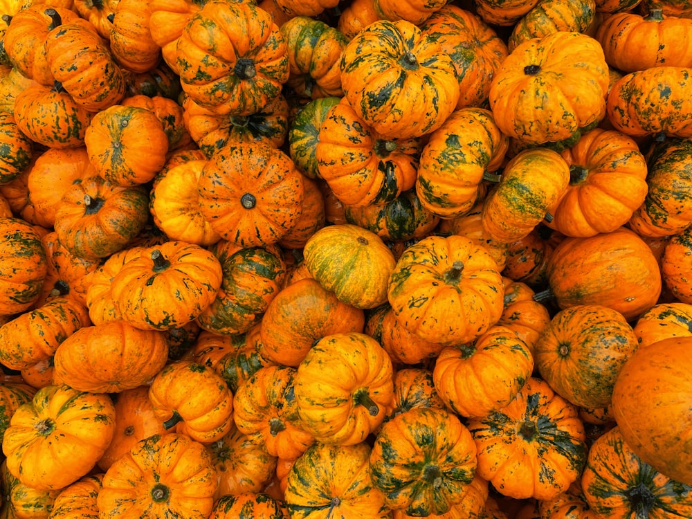 a pile of pumpkins