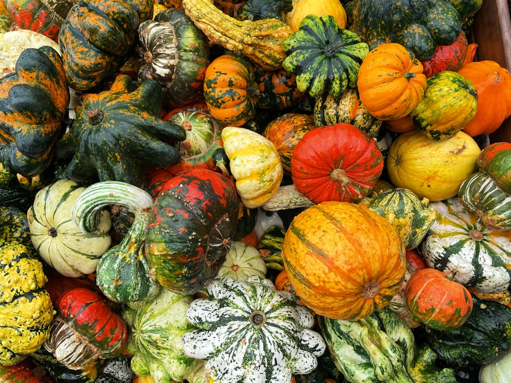 a pile of pumpkins