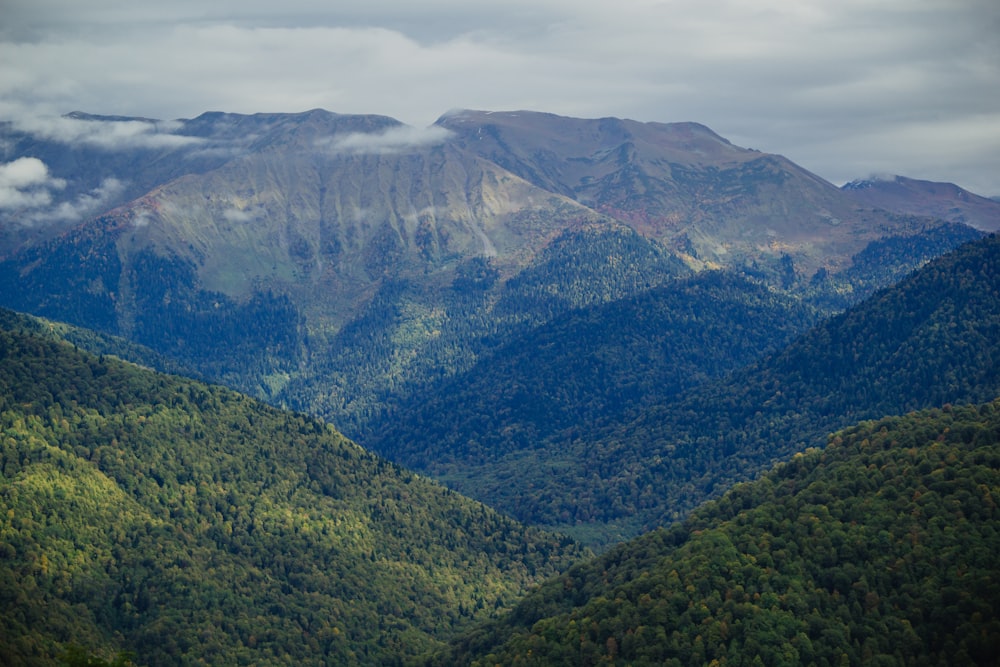 a valley between mountains