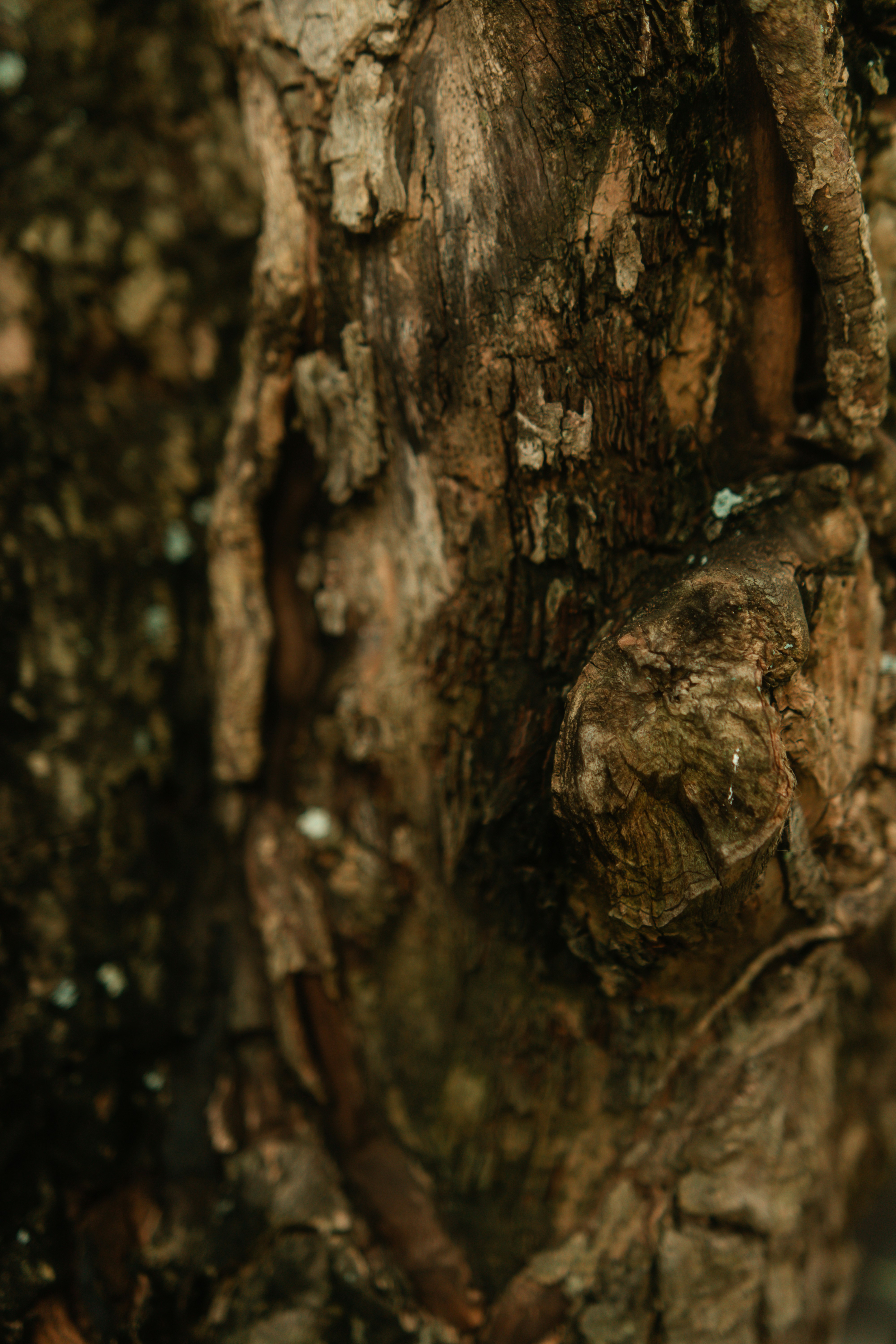 Photo by jeremianathanael_