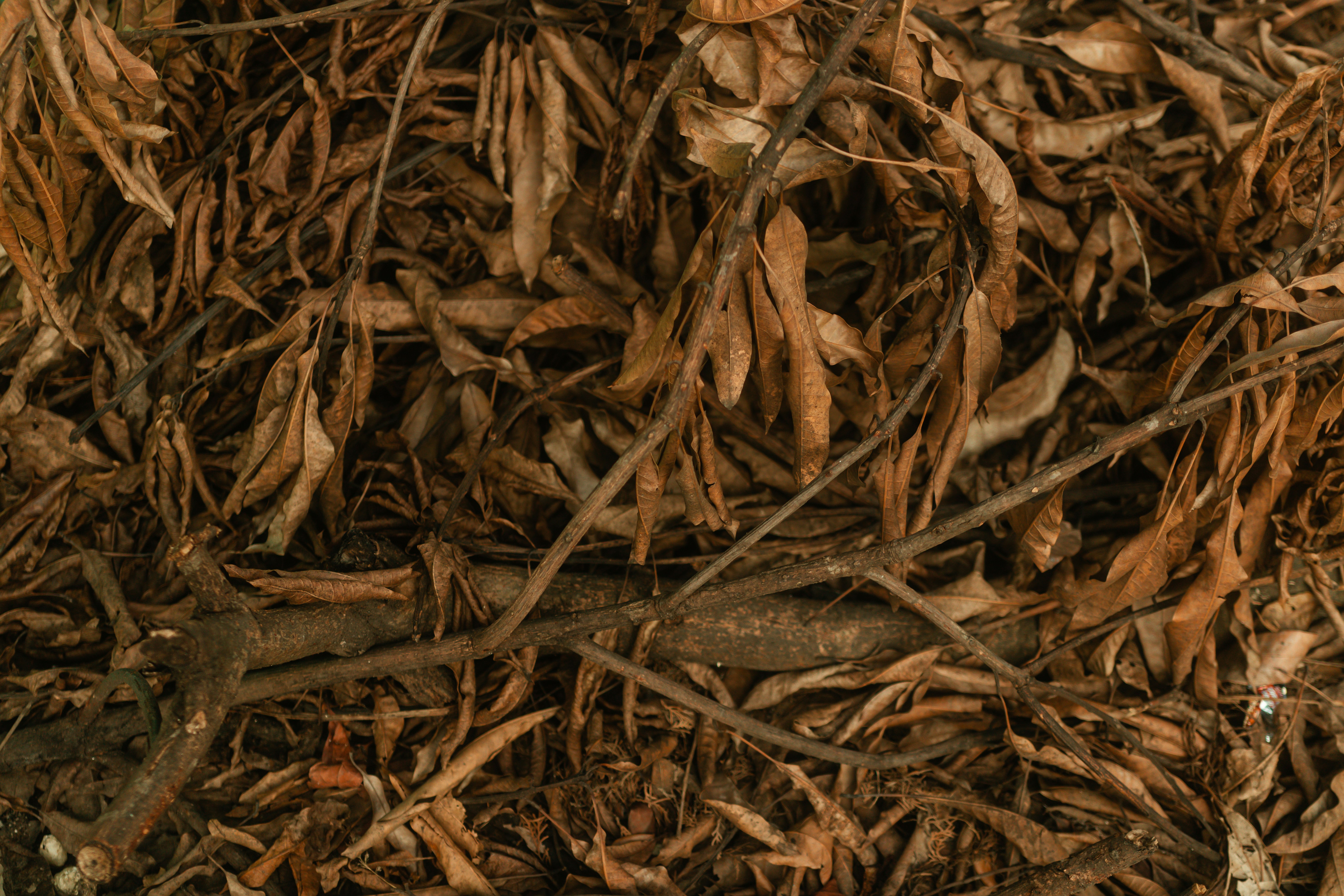 Photo by jeremianathanael_