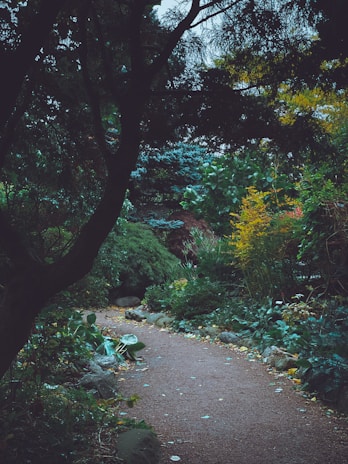 A winding path through the resort’s garden, lined with vibrant flowers and shaded by leafy branches.