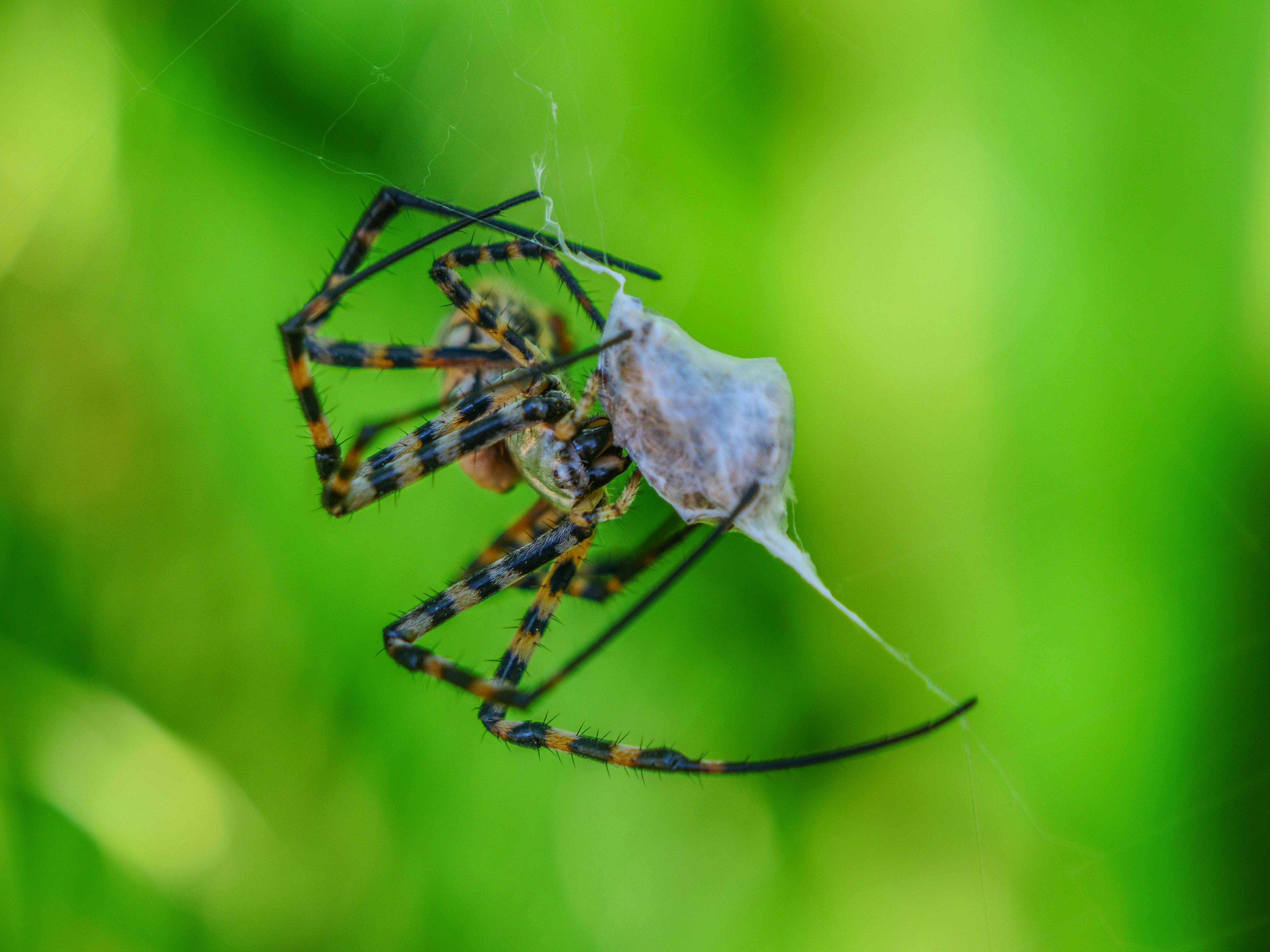 Photo by nebulargroup