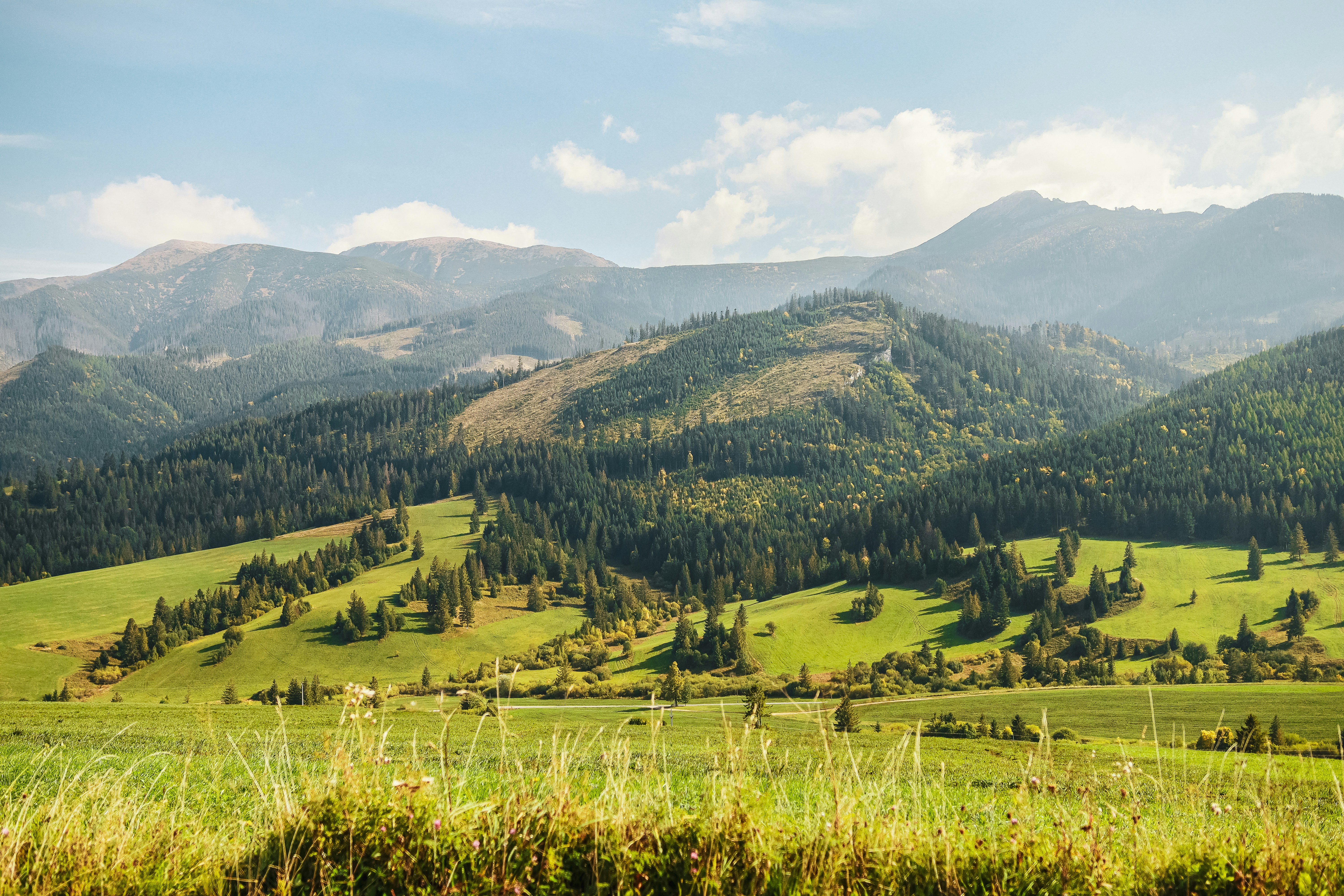 Photo by studiothebrand