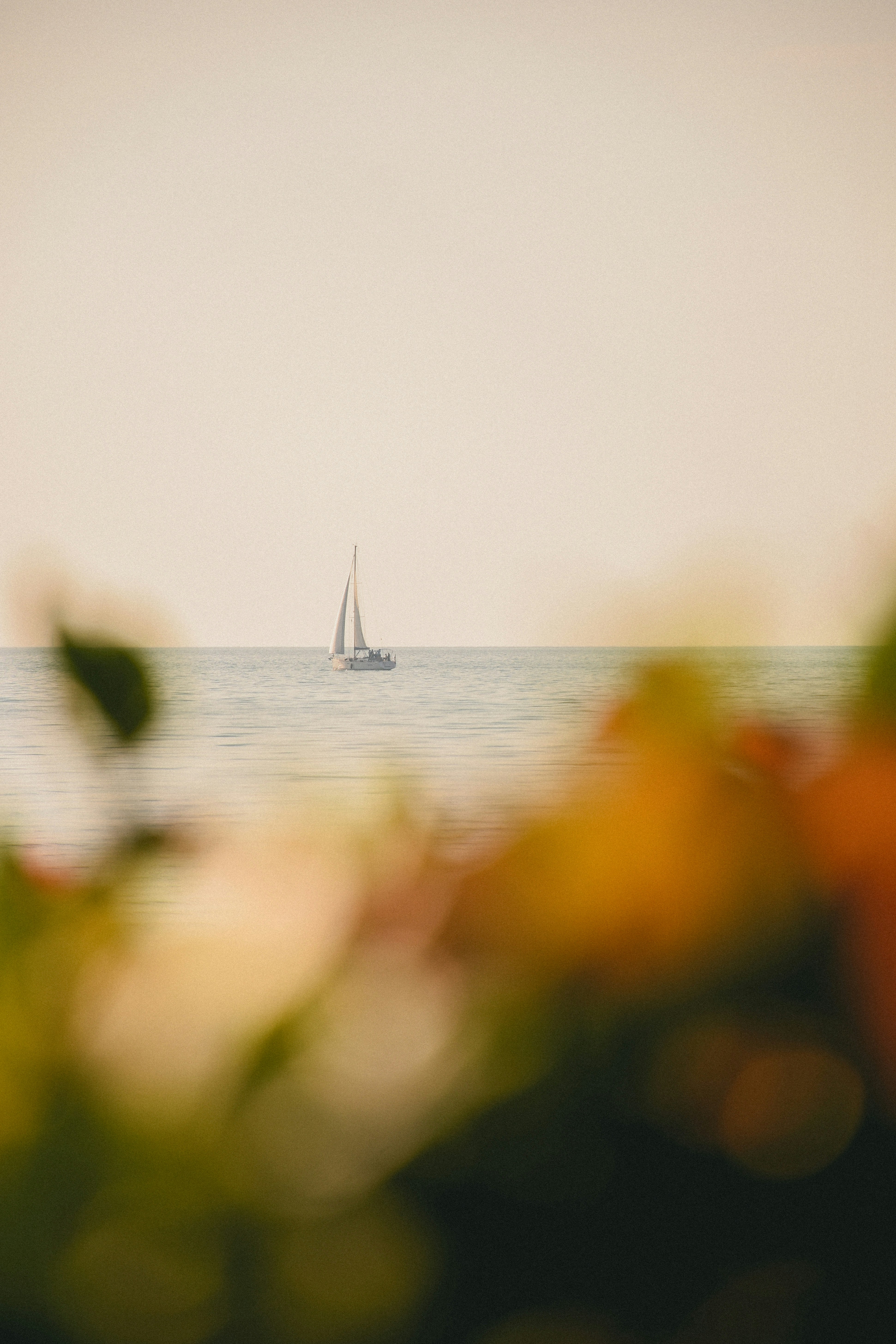 Photo by federicabras