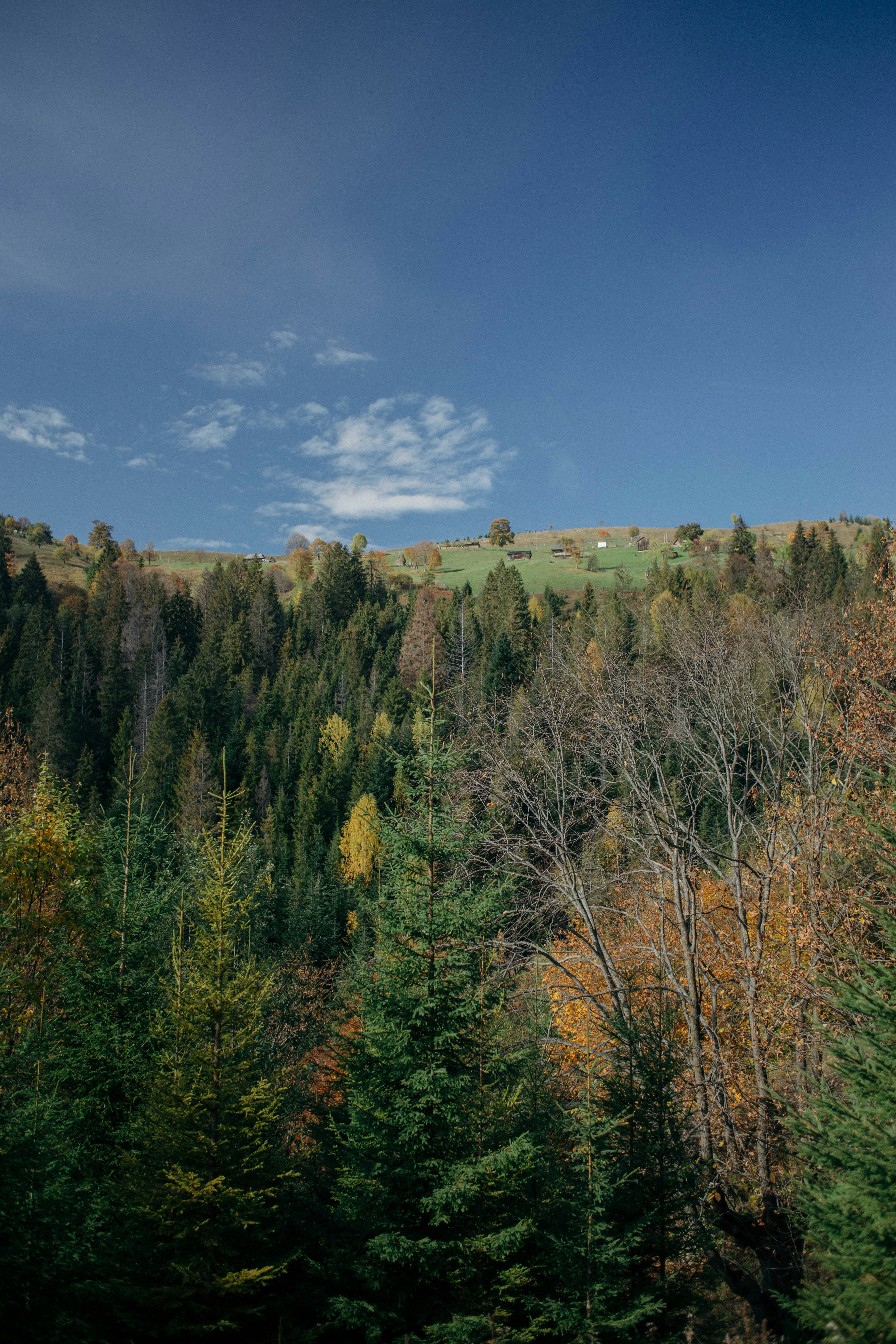 Photo by rozanovz