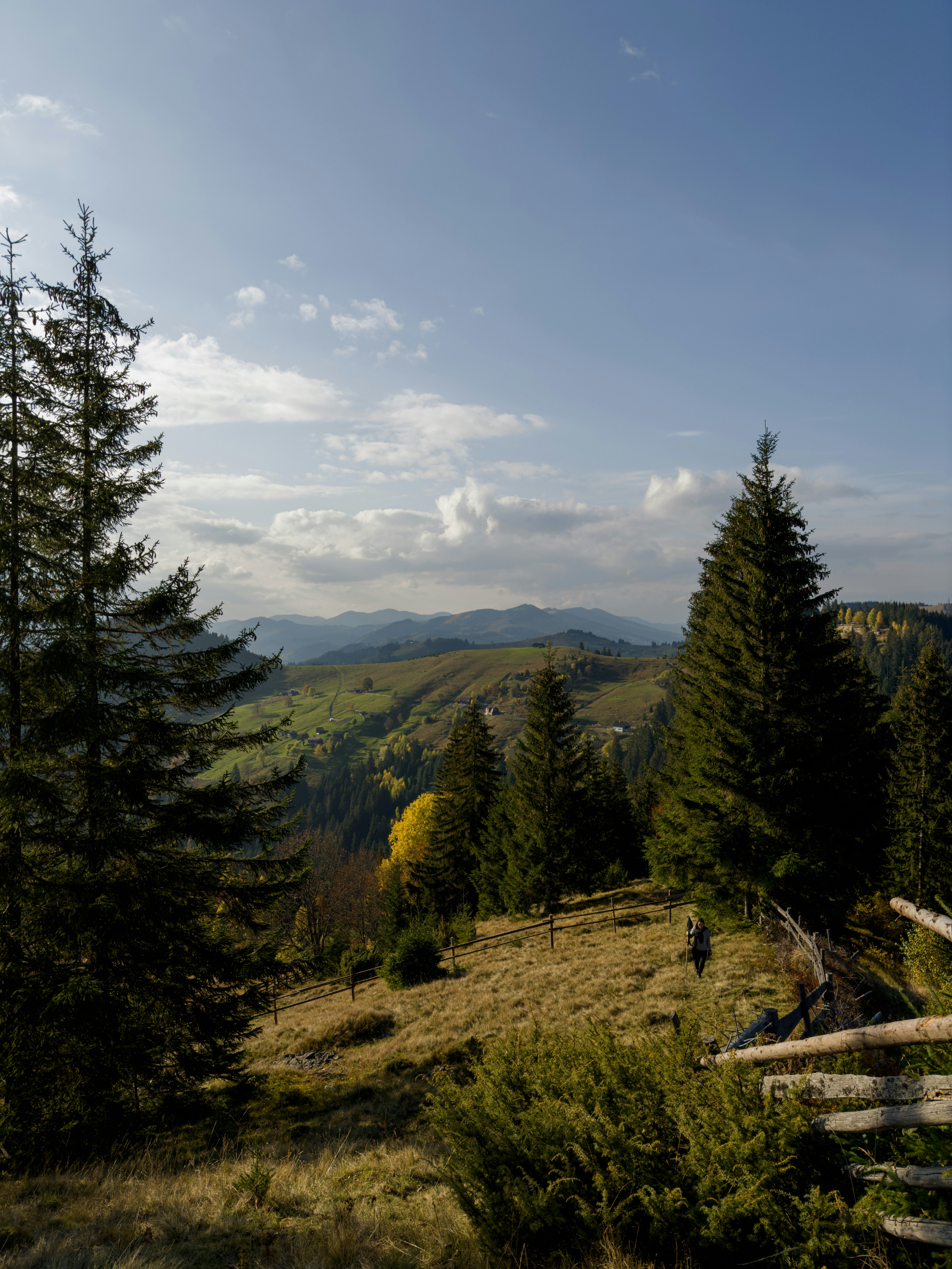 Photo by rozanovz