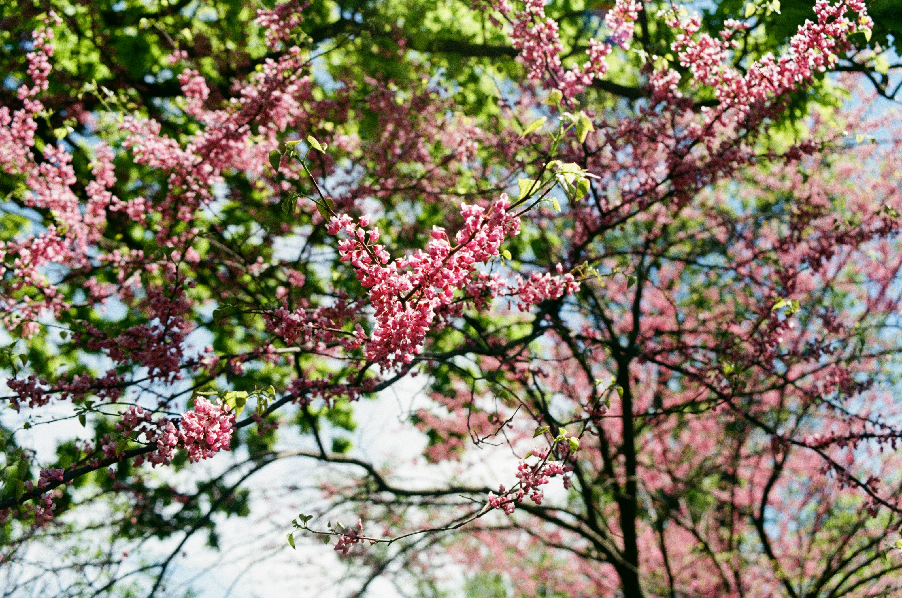 Photo by sashamatveeva