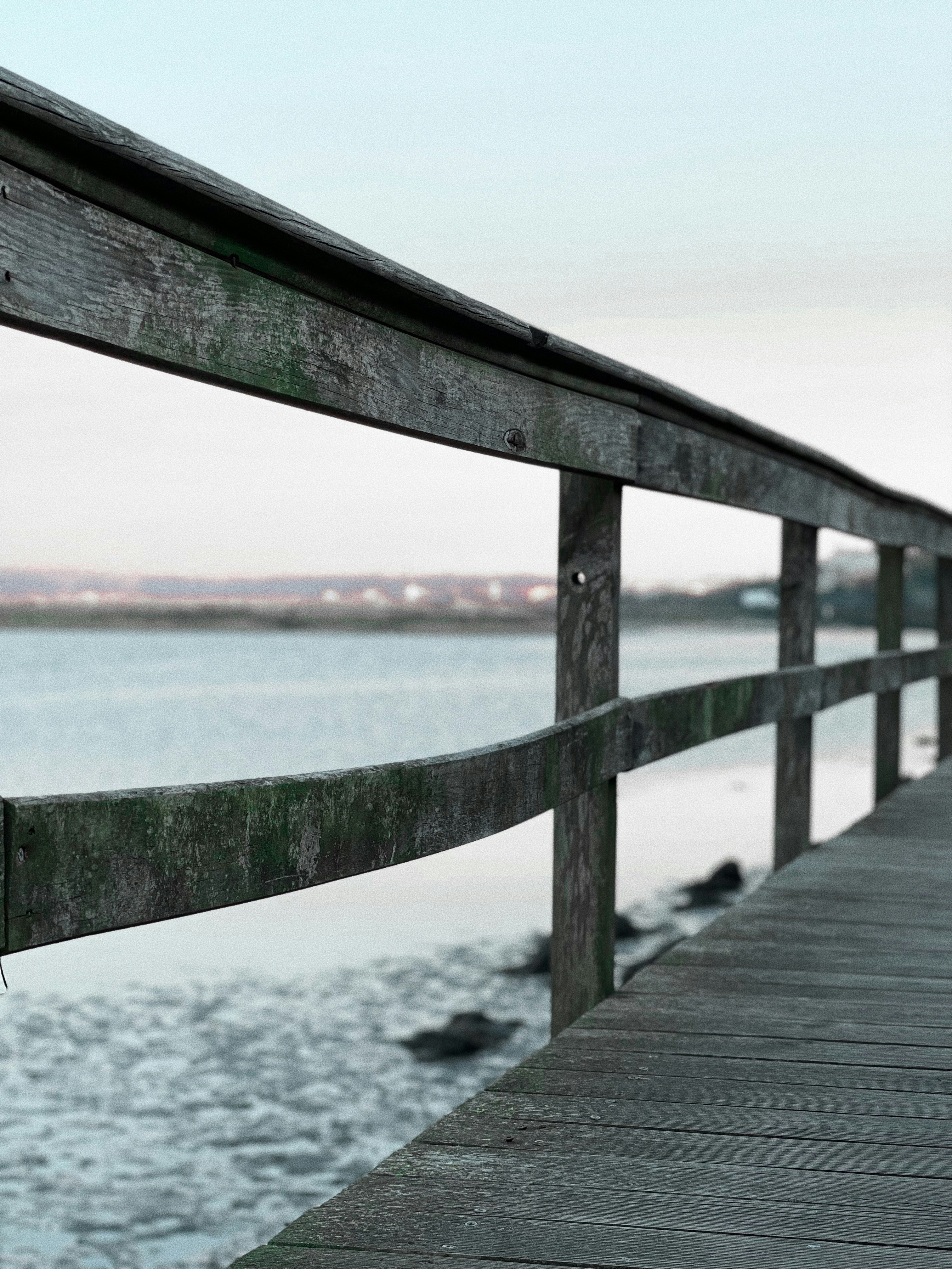 Photo by afonsoduartemarques